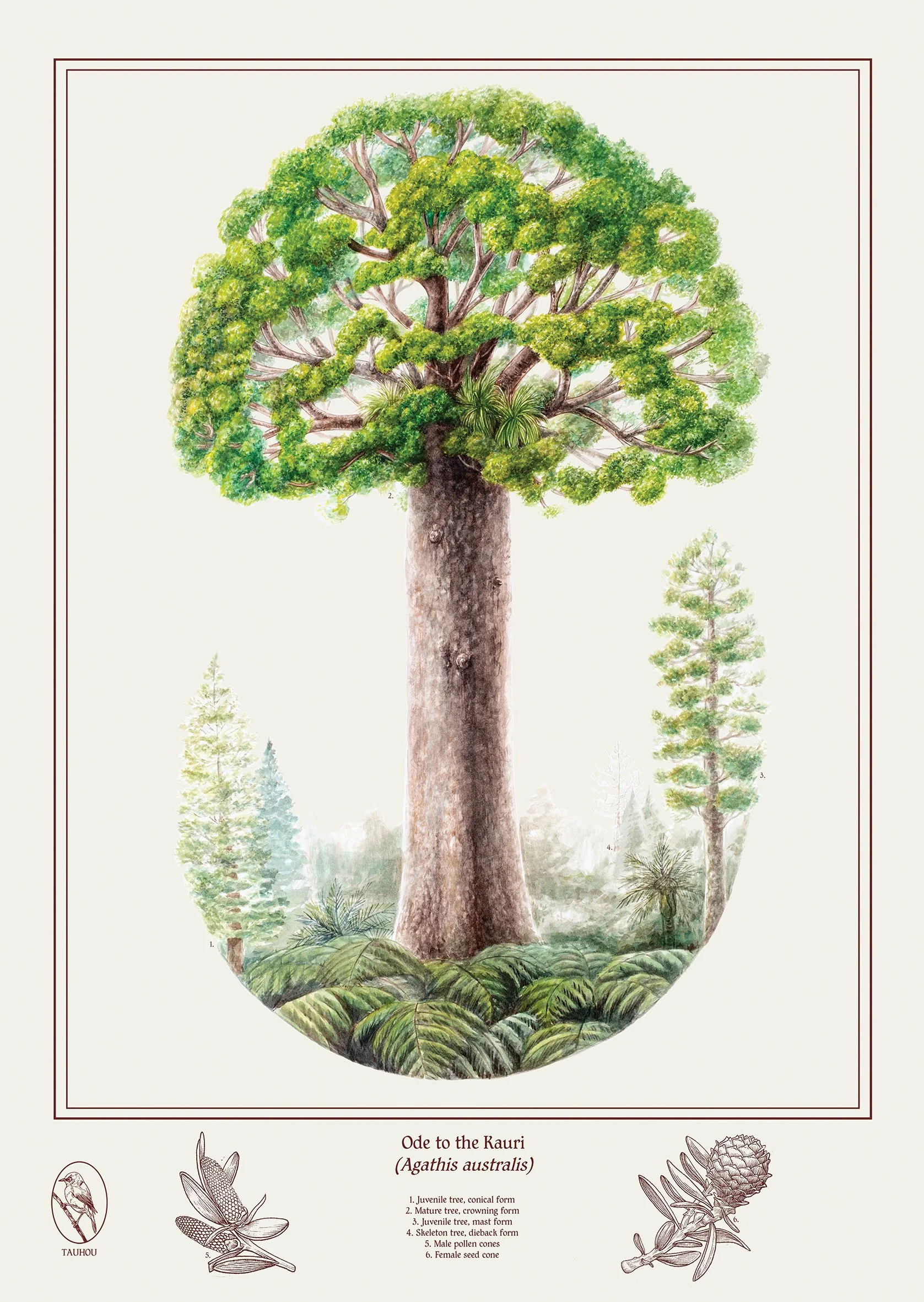Ode to the kauri poster LR.jpg