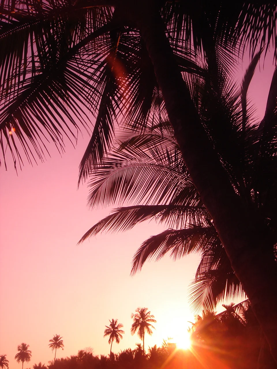 sunrise in Goa