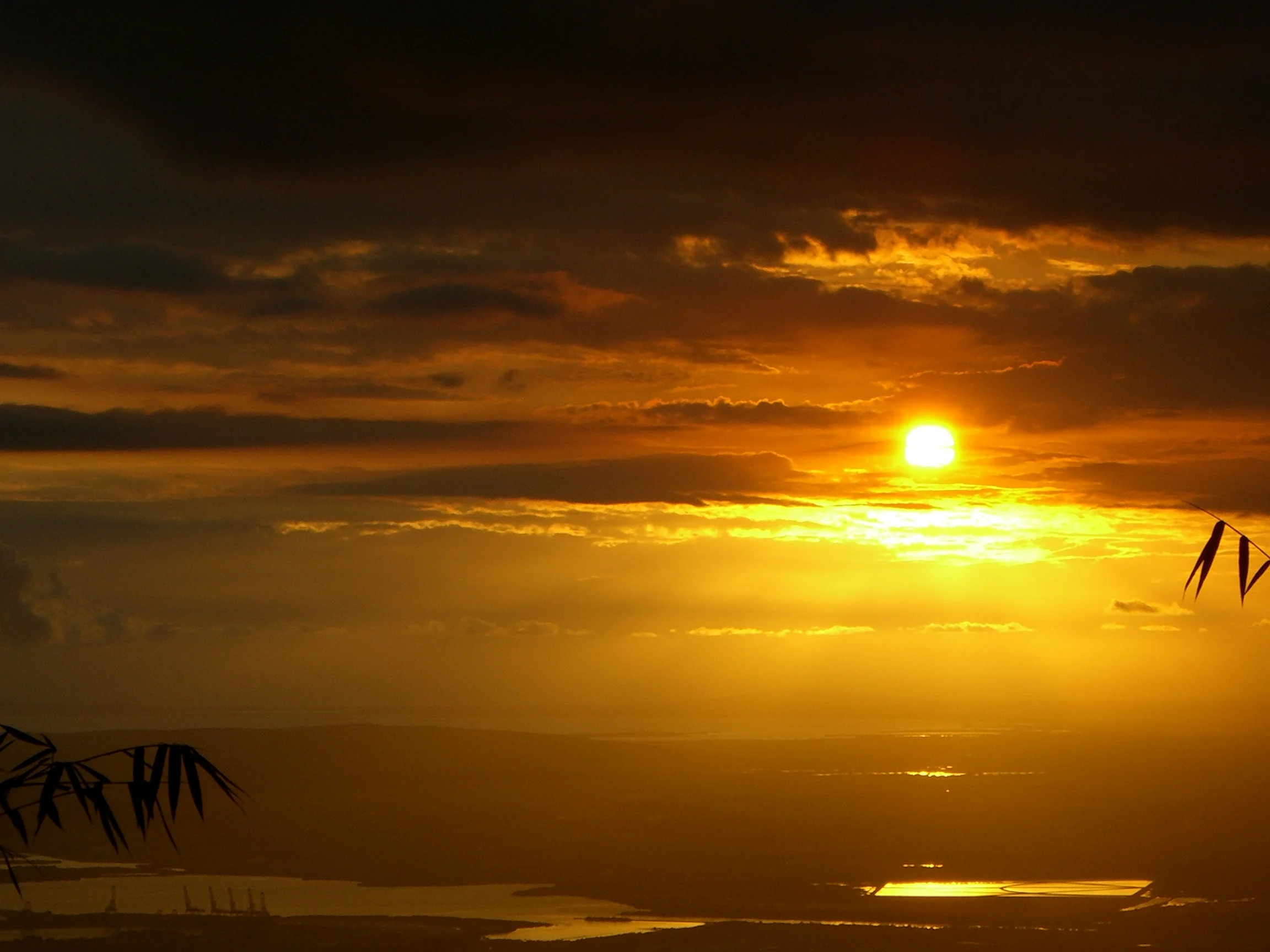 sun setting over Kingston, Jamaica