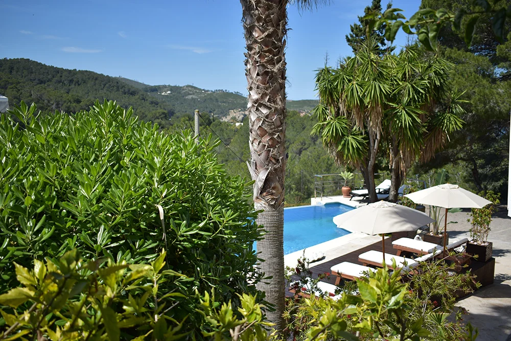 viewofpool.jpg