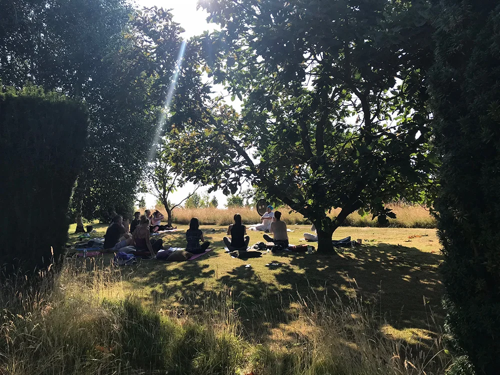 birtownhouseretreat_magicyogafield.jpg