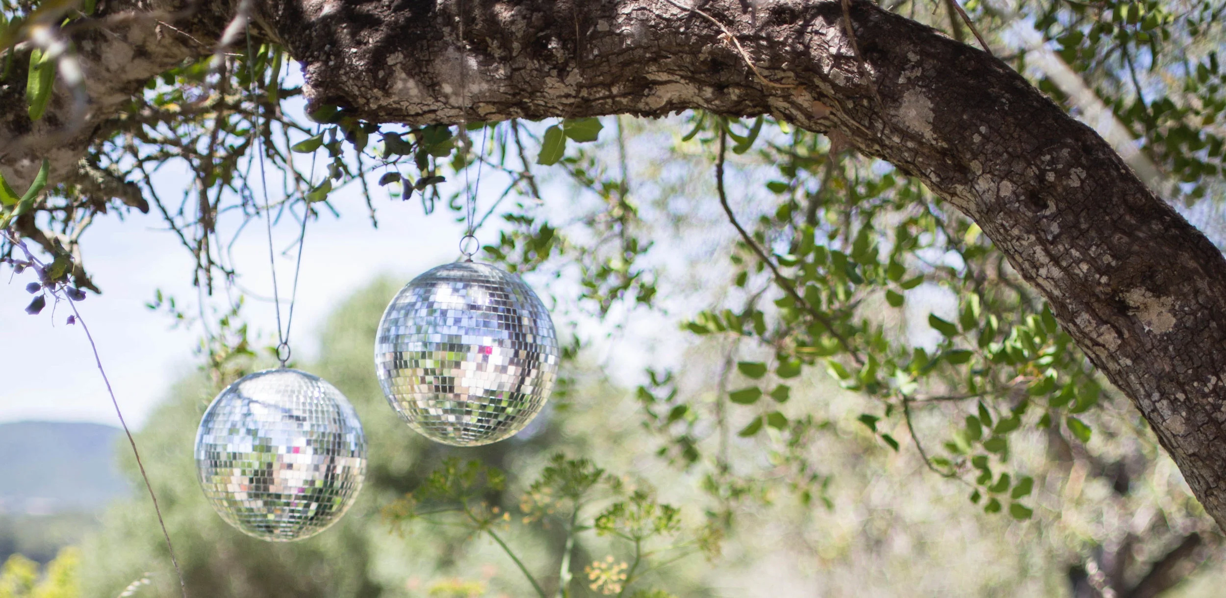 A Meditation for a Calm Heart