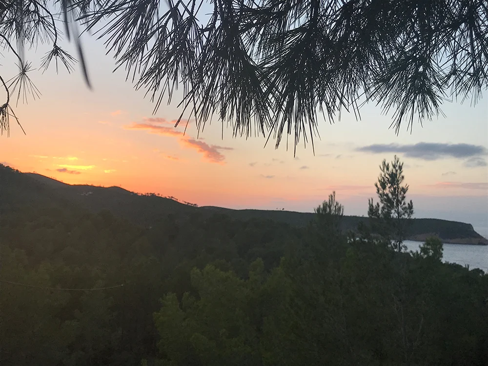 That was the summer that was 2018...