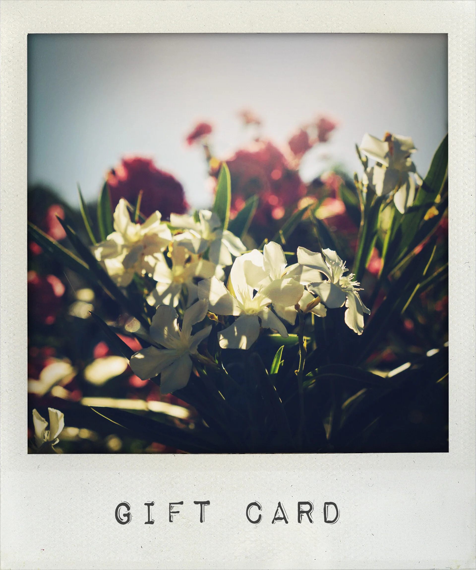 giftcard.jpg