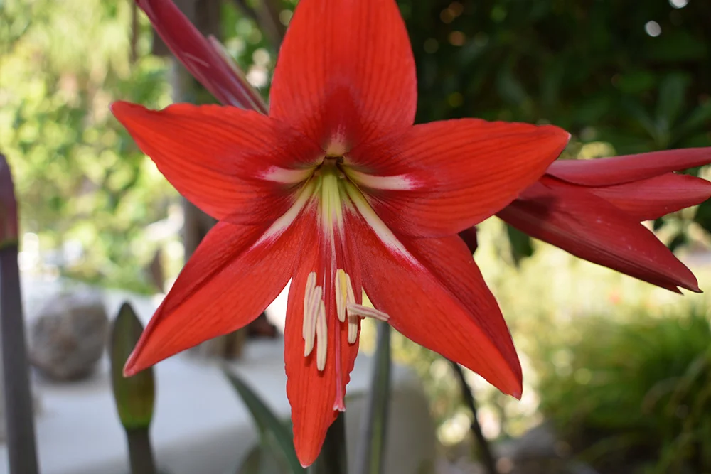 Vibrate at your highest frequency playlist