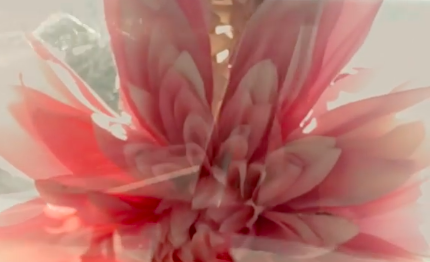 Soul Adventures: The Book!