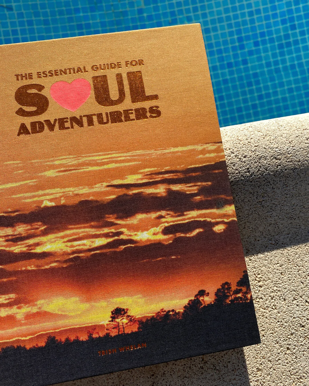 THE ESSENTIAL GUIDE FOR SOUL ADVENTURERS