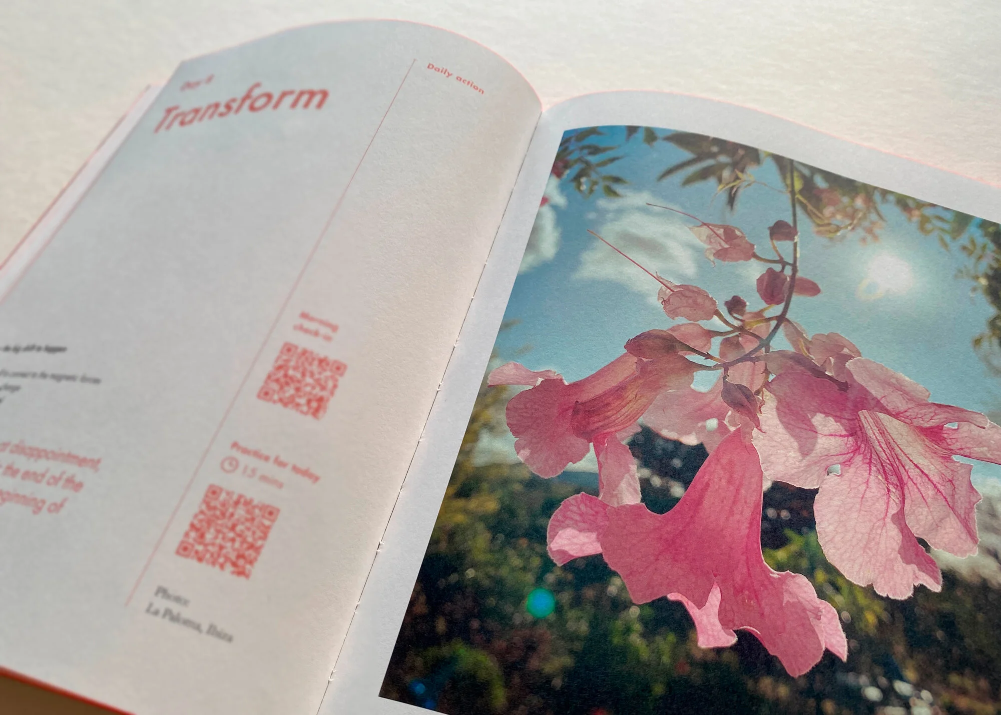 2. Transform inside.jpg