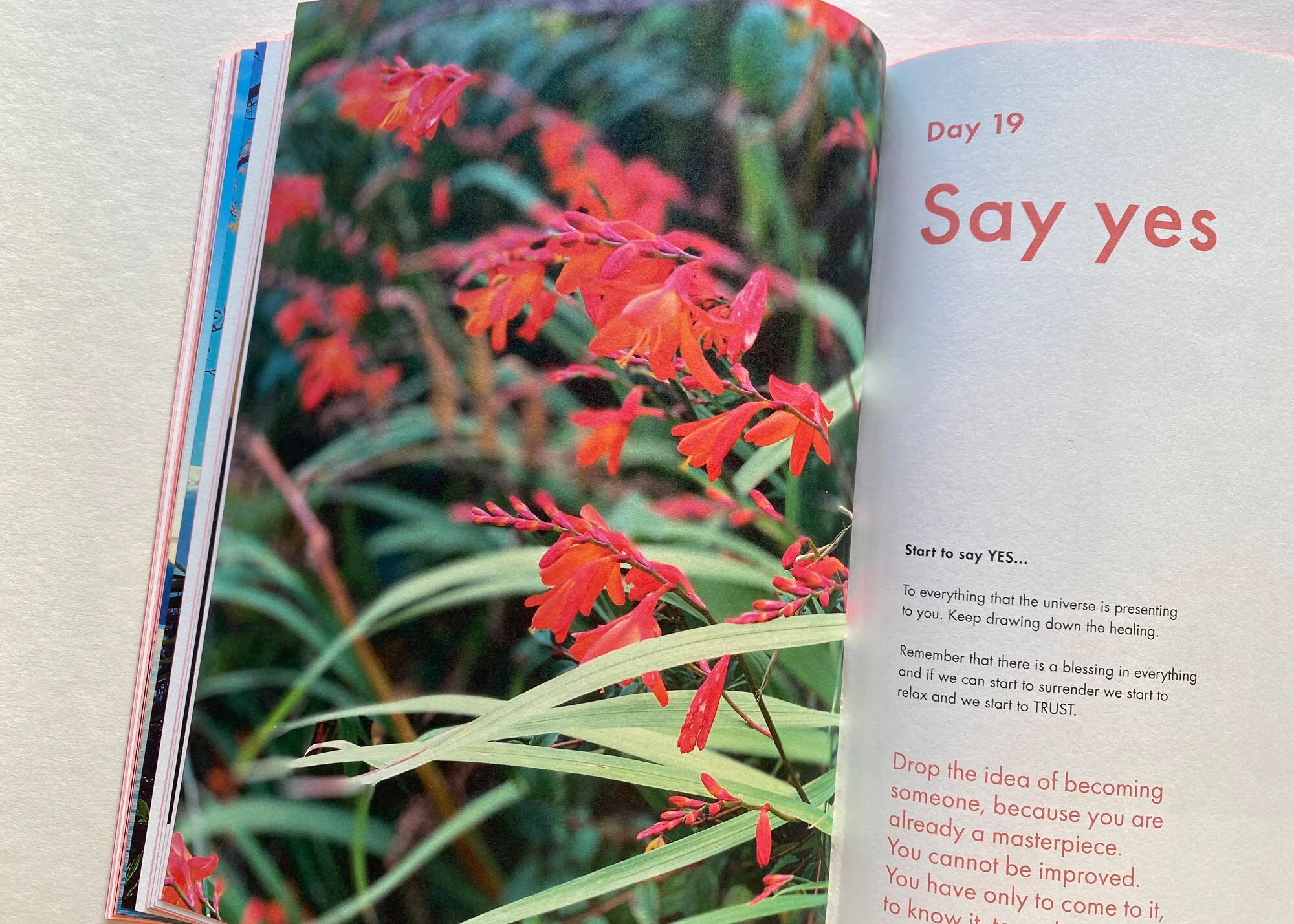 4. Say-Yes.jpg