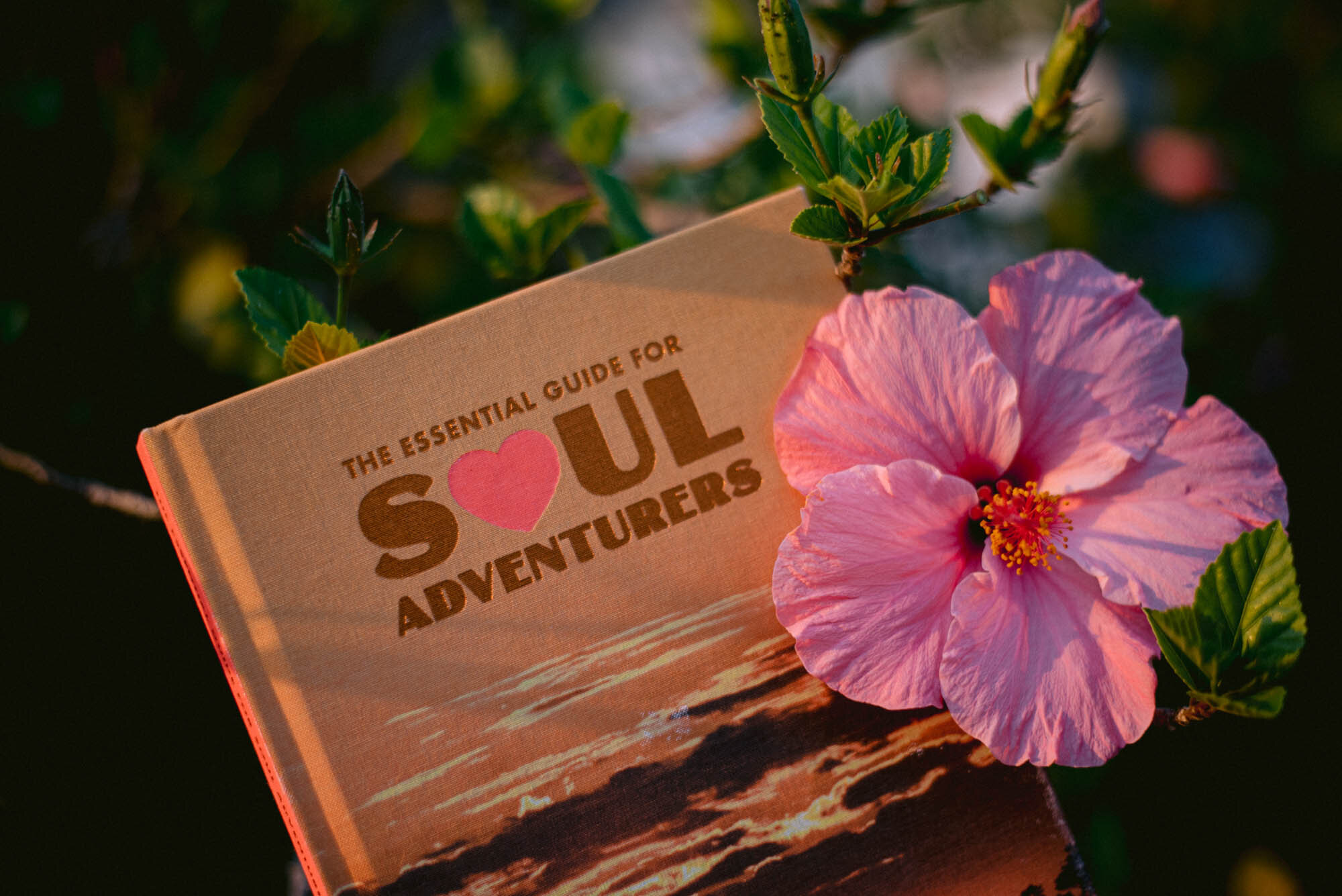 The Essential Guide for Soul Adventurers 