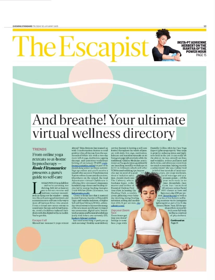 EVENING STANDARD - JANUARY 2021 &amp; ULTIMATE VIRTUAL WELLNESS DIRECTORY