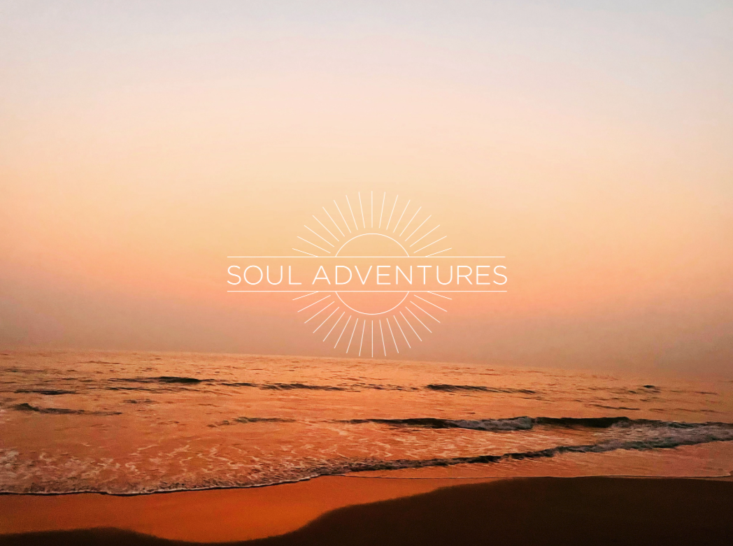 Freeness, Newness, Niceness FREEDOM and Adventure