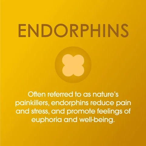 Endorphins logo