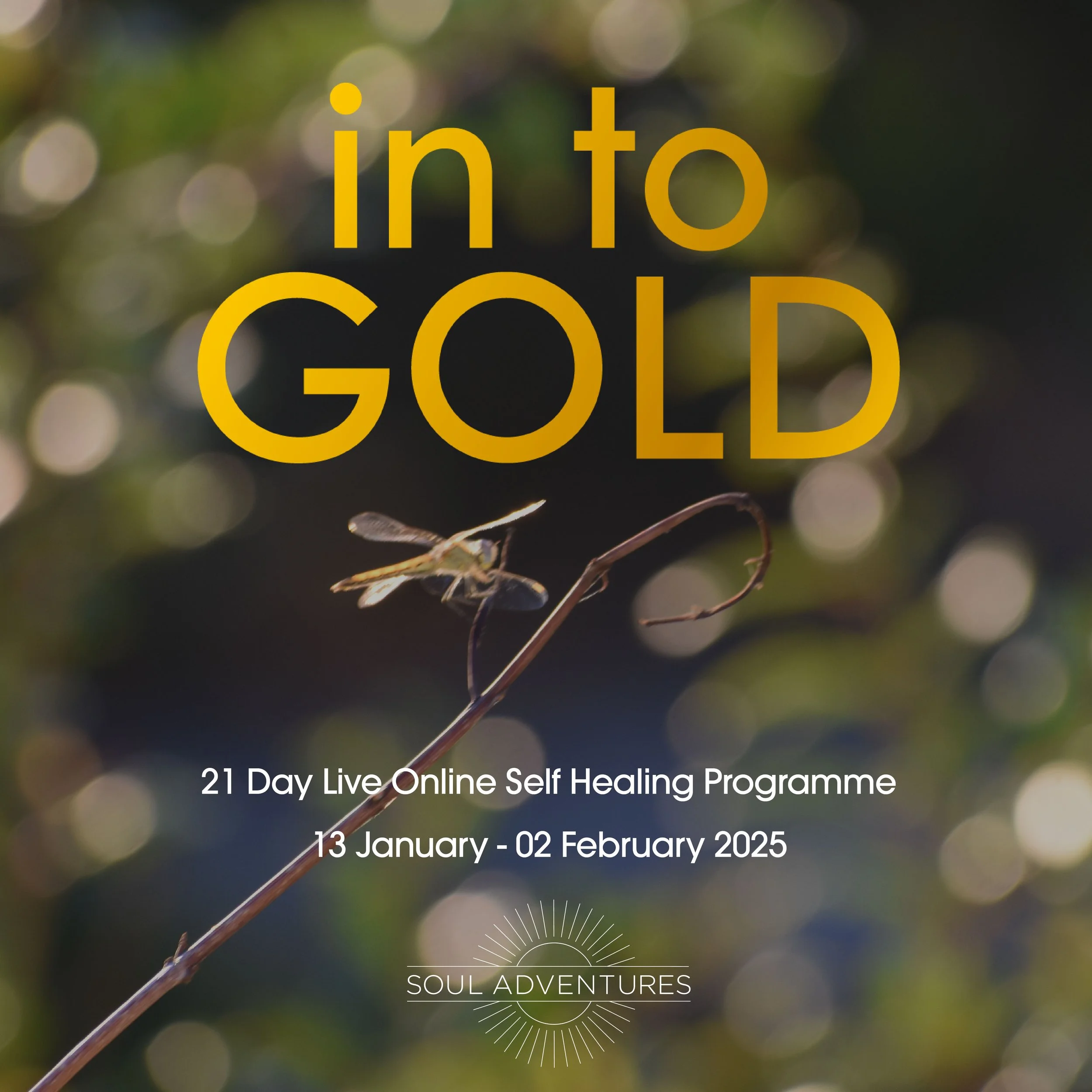 11/11 Blessings, IN TO GOLD Registration Open, Early Bird Discount Code and a Special Healing Circle