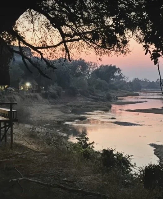 IMG_2355 Medium.jpeg