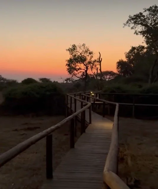 IMG_2352 Medium.jpeg