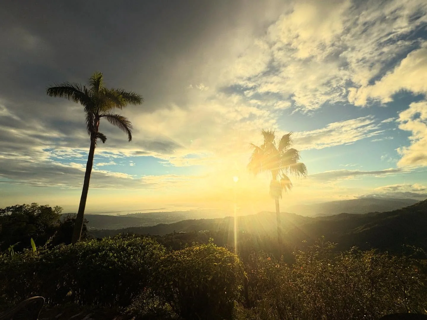 Who feels it knows it &hearts;️💚💛
Oh Jamaica&hellip; 🇯🇲 
Every time I leave, a little piece of my heart stays on this incredible island💚

As many of you know, I was meant to be here this week for our Vibrate At Your Highest Frequency retreat at 