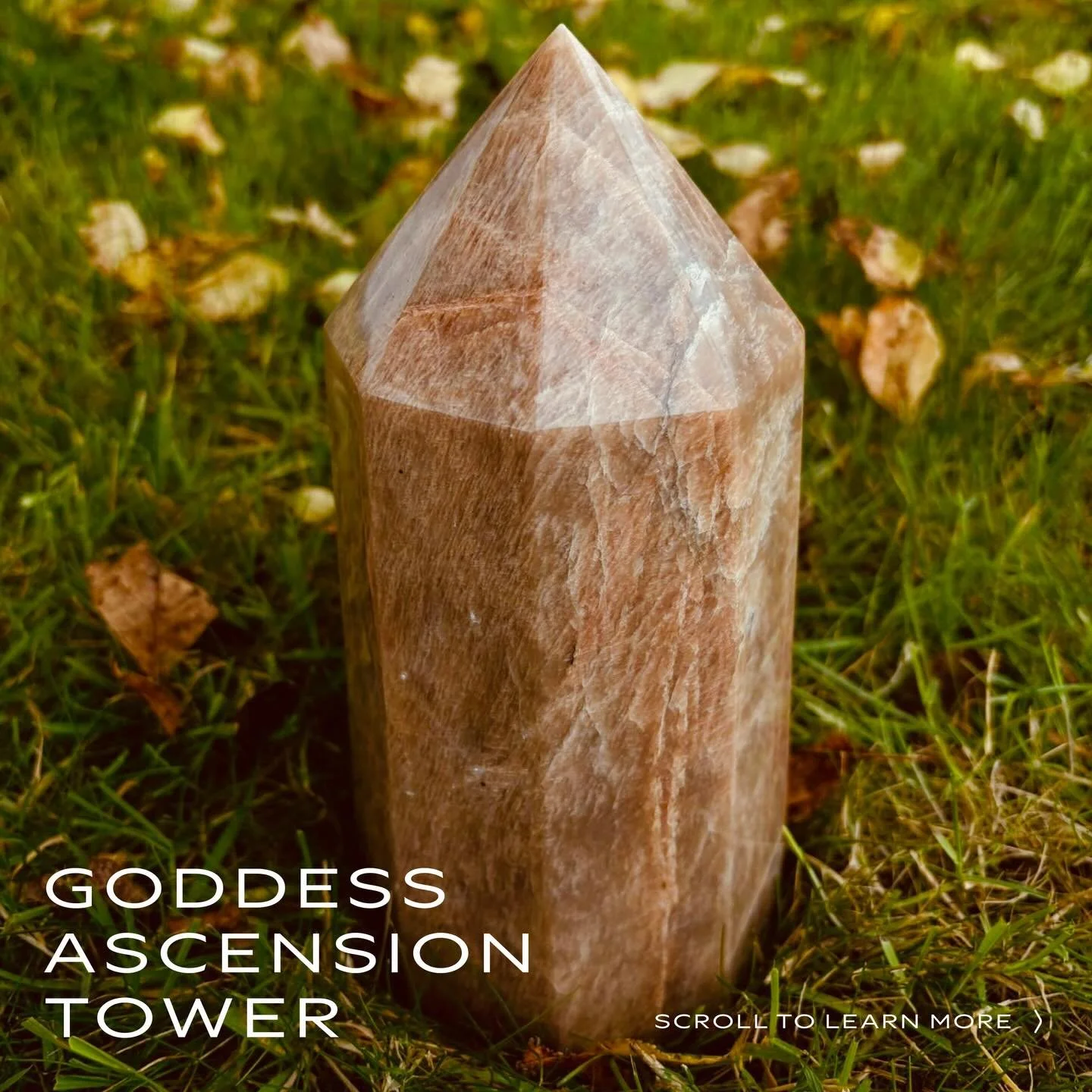 The gorgeous Goddess Ascension Tower ❤️&zwj;🔥a super rare Pink Moonstone pillar carrying the medicine of feminine sovereignty, emotional coherence and intuitive clarity ❤️&zwj;🔥
A stone for thresholds, transitions and the gentle becoming of your ne