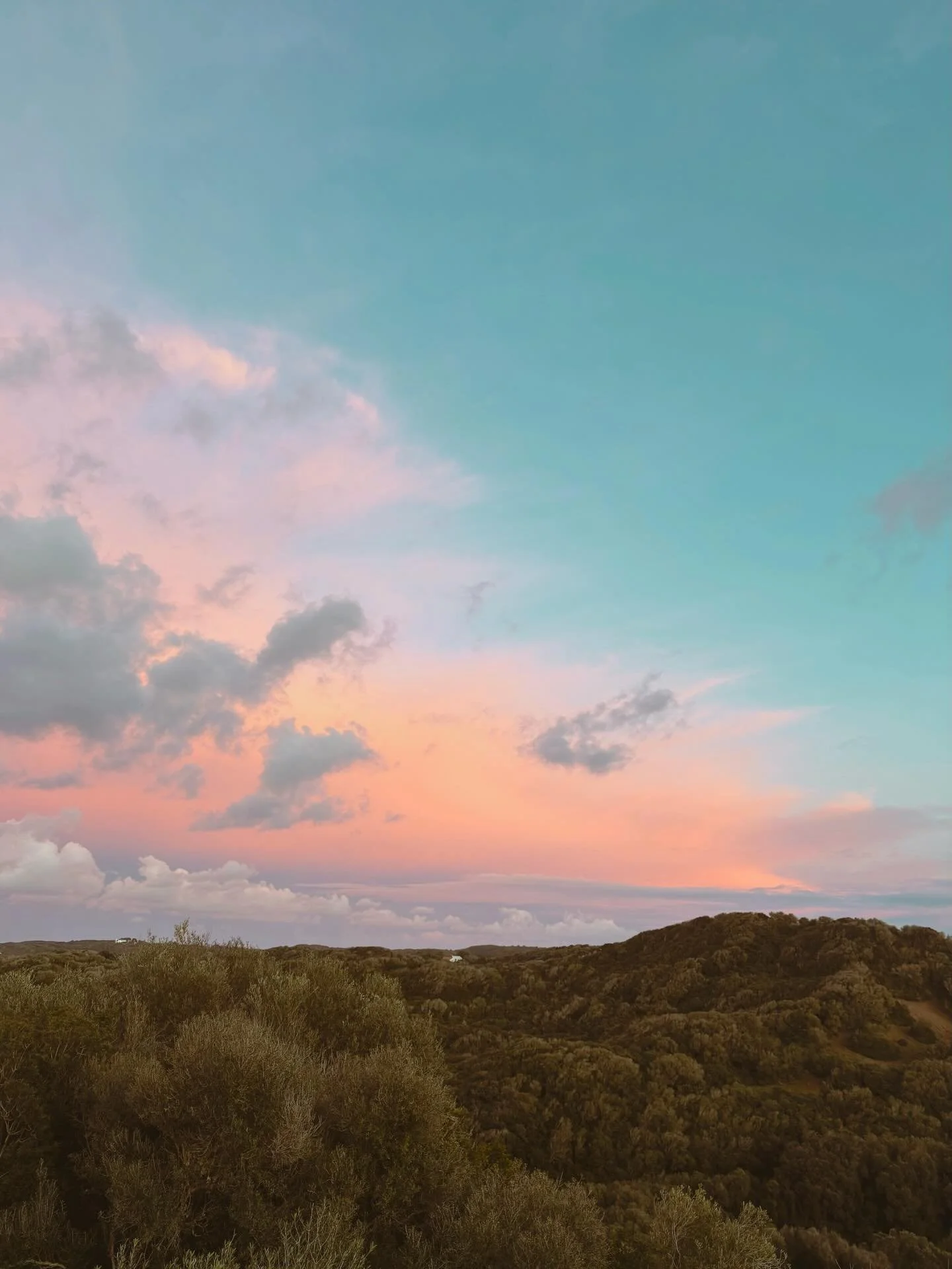 There is a kindness that dwells deep down in things; it presides everywhere, often in the places we least expect. The world can be harsh and negative, but if we remain generous and patient, kindness inevitably reveals itself. Something deep in the hu