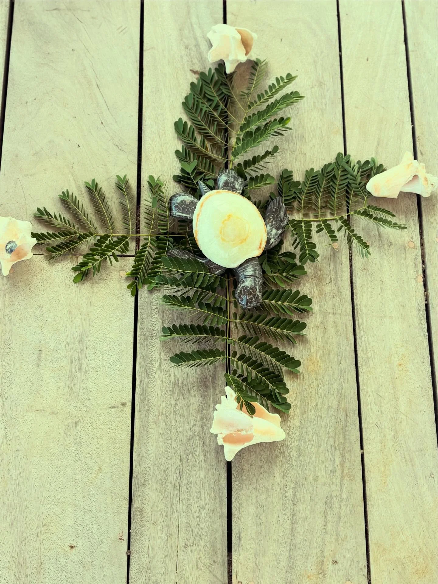 its so strange for me to be working without some crystals BUT with 75Kgs of luggage for the Jamaica trip i had to come up with another centre piece for my altar here 🏝️

so i went with this beautiful turtle🐢made of clay with a real Jamaican shell
T