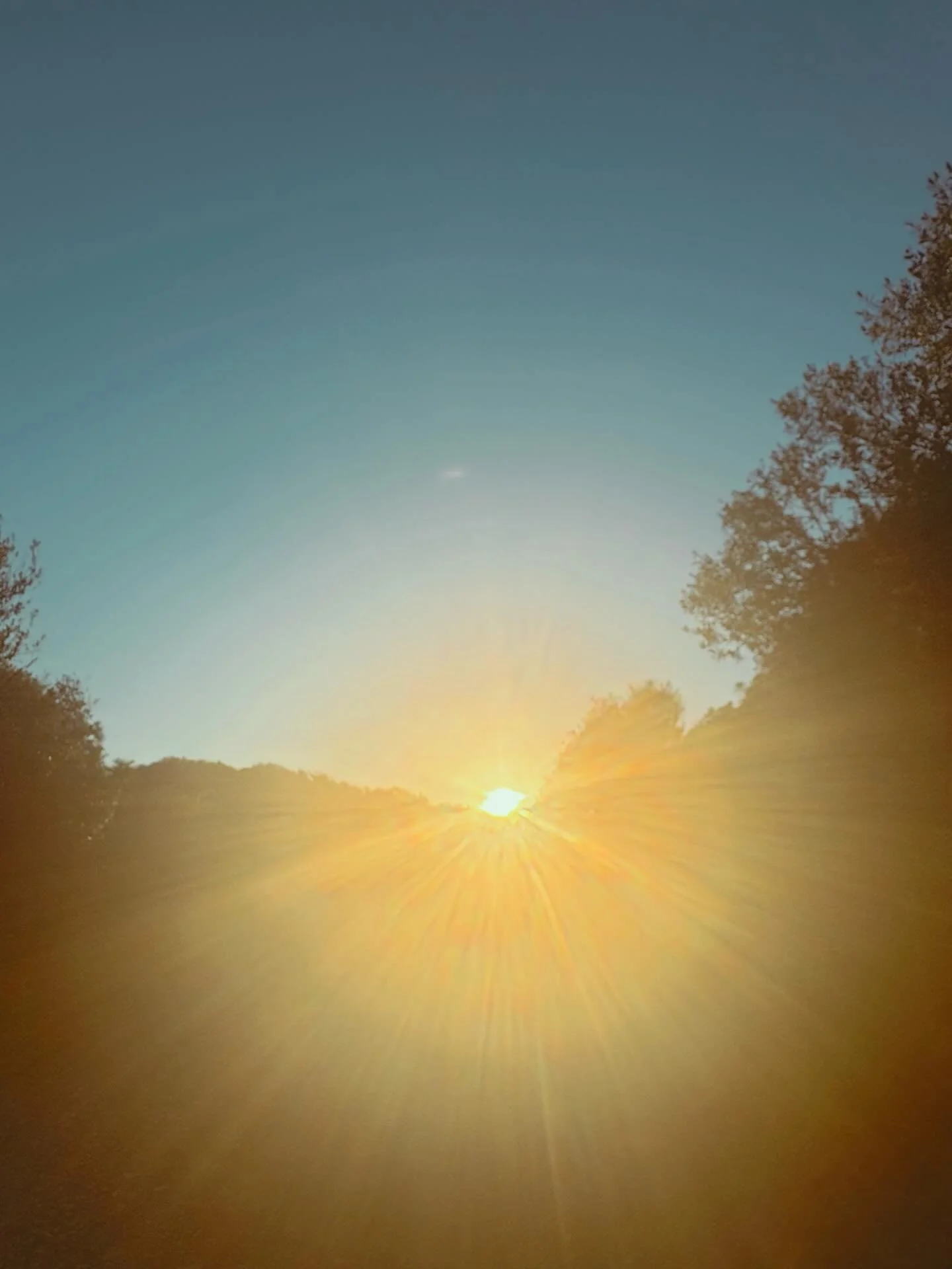 keep letting the light in &hearts;️