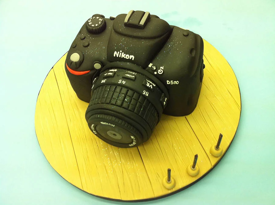 Nikon Camera Cake