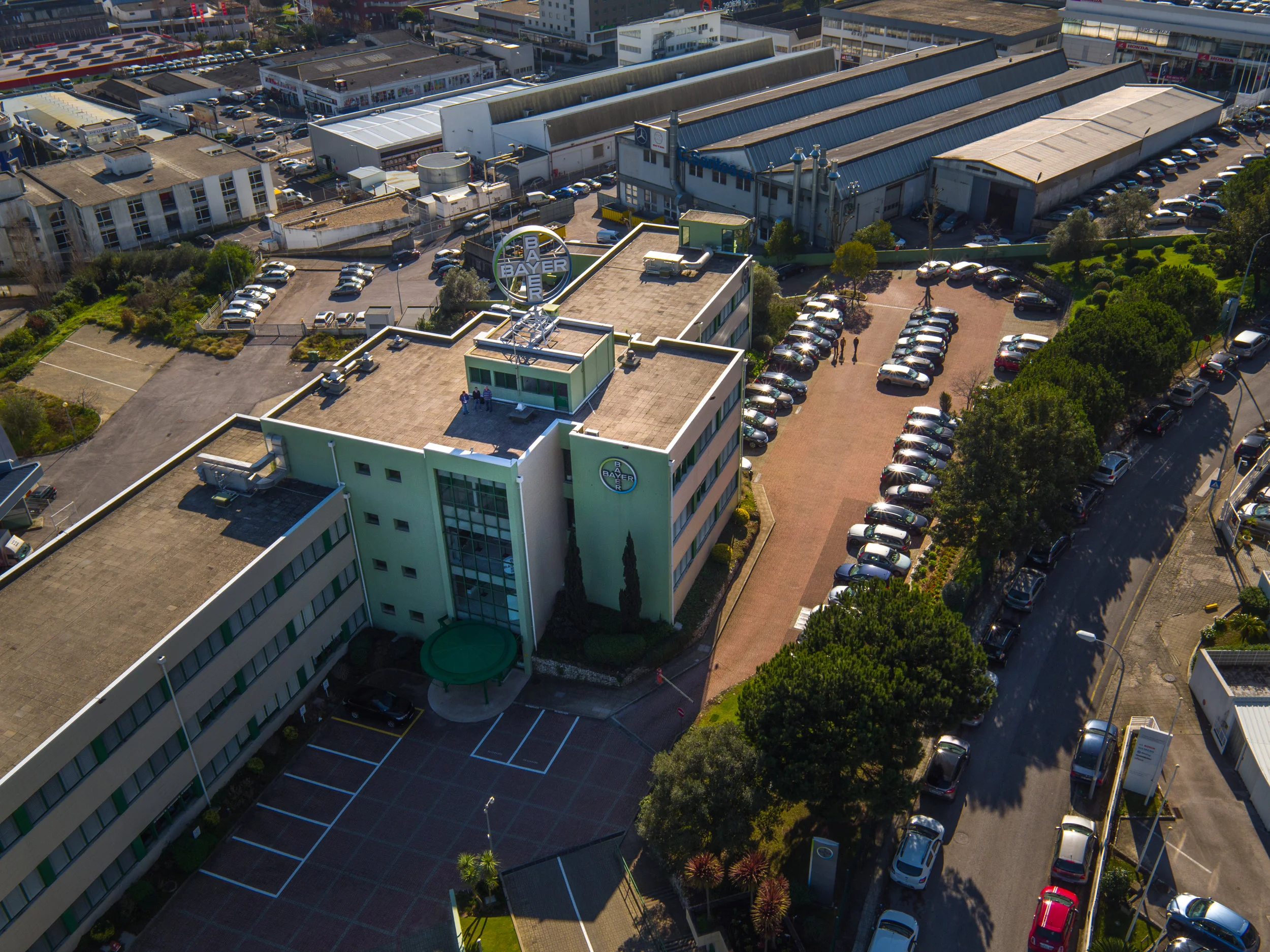 Bayer-10.jpg