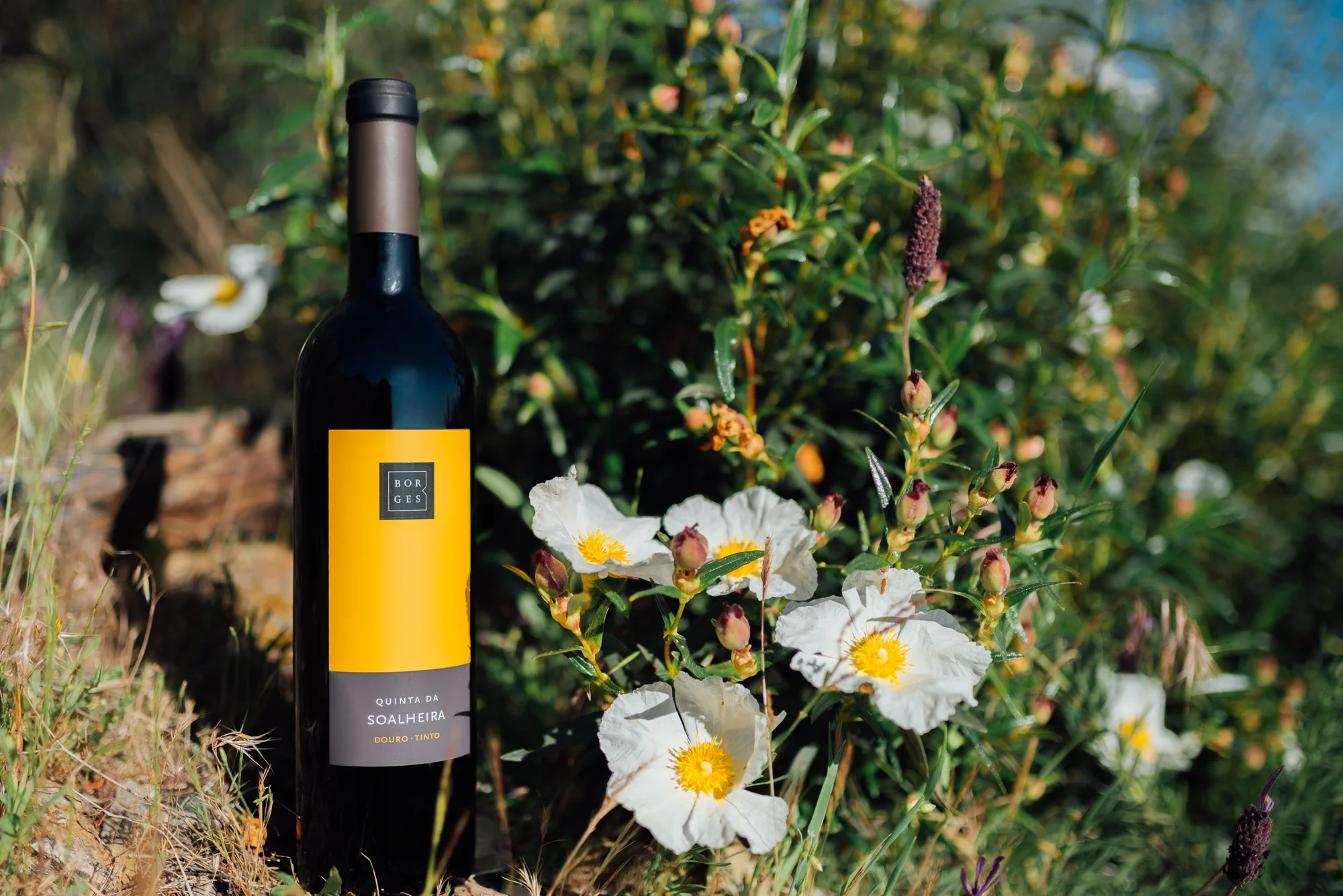 VINHOS BORGES, DOURO PRIMAVERIL