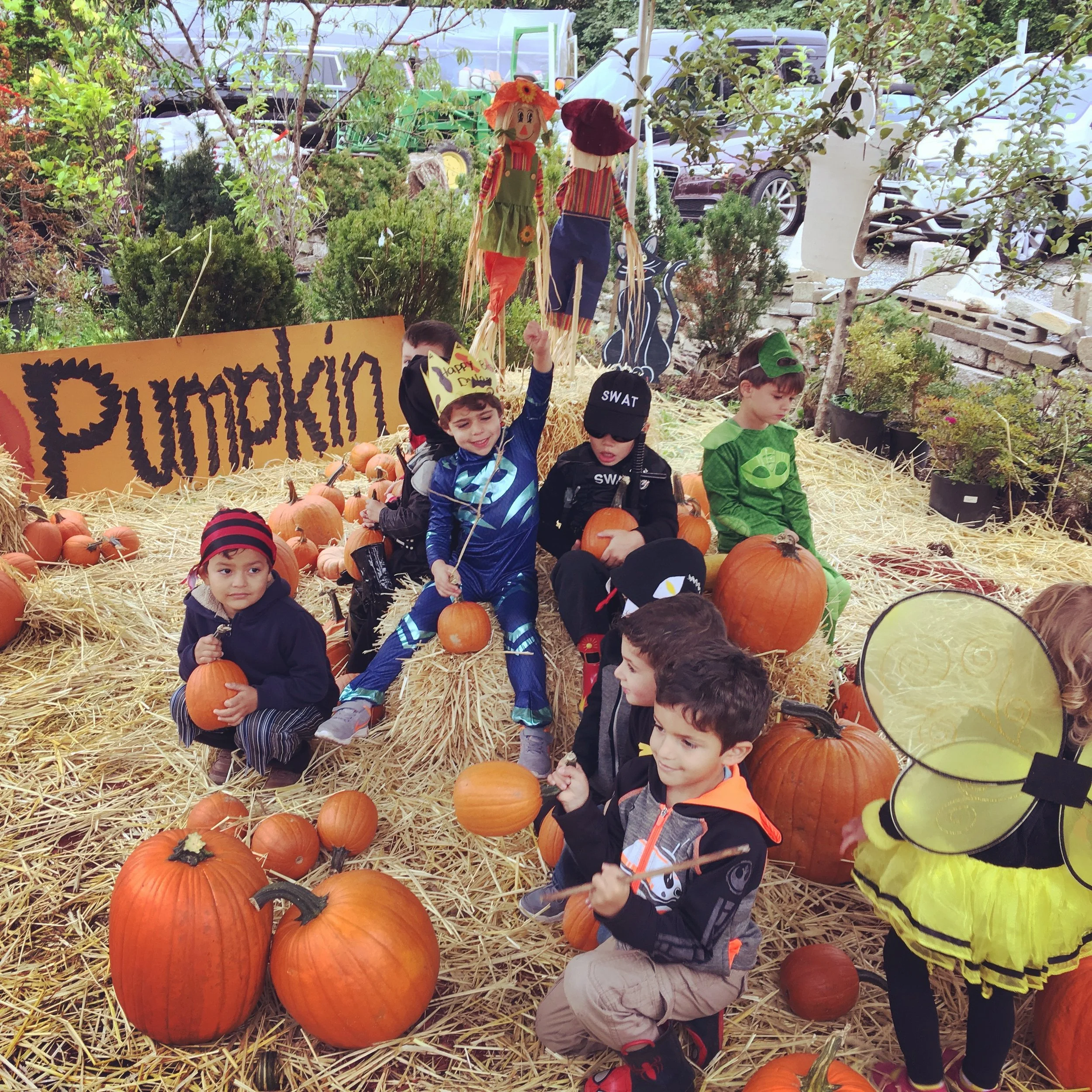 Farm_Birthday_Fall.jpg