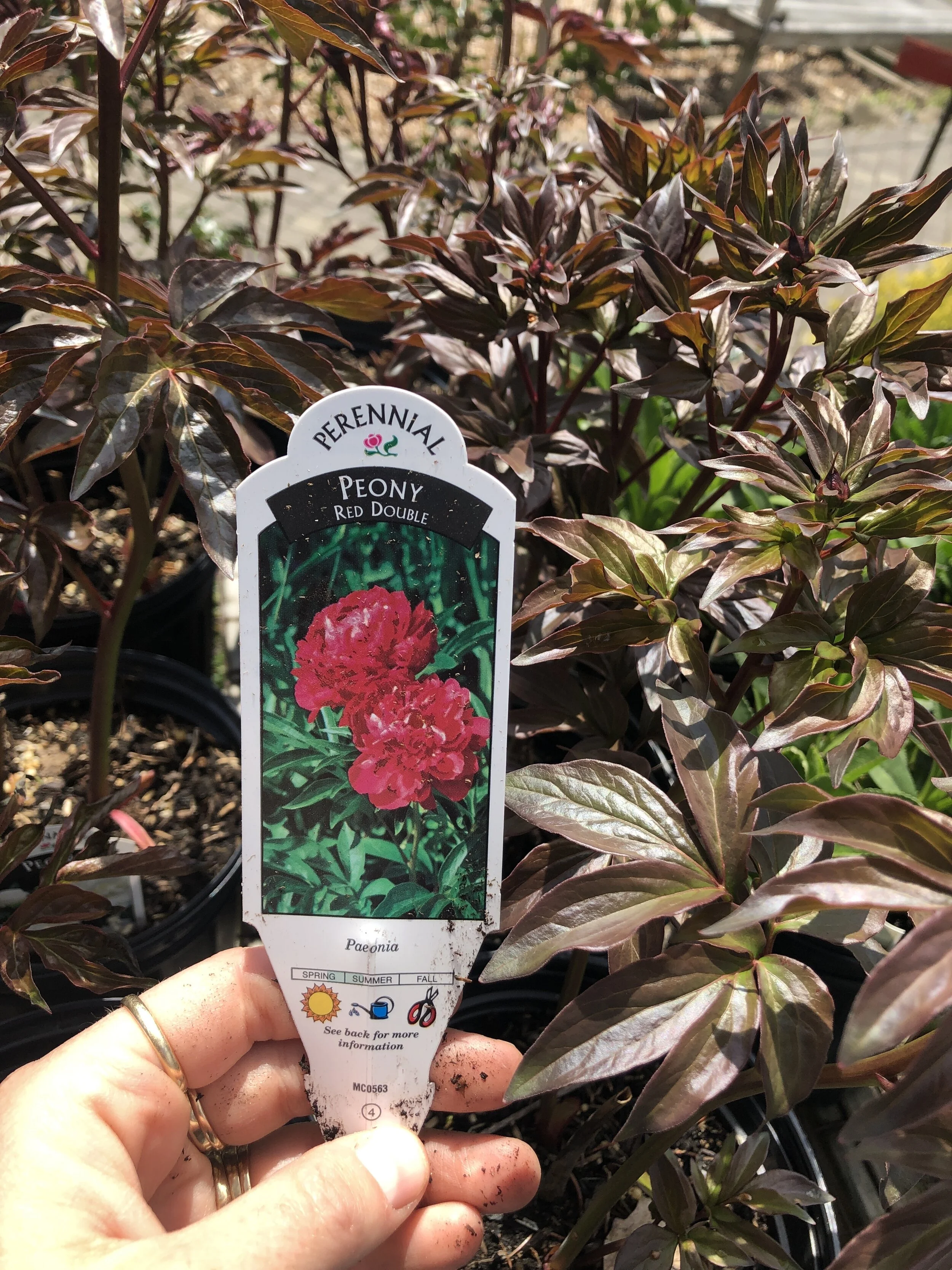 C82AF934-16C3-402E-AF53-61B359A1FBC8