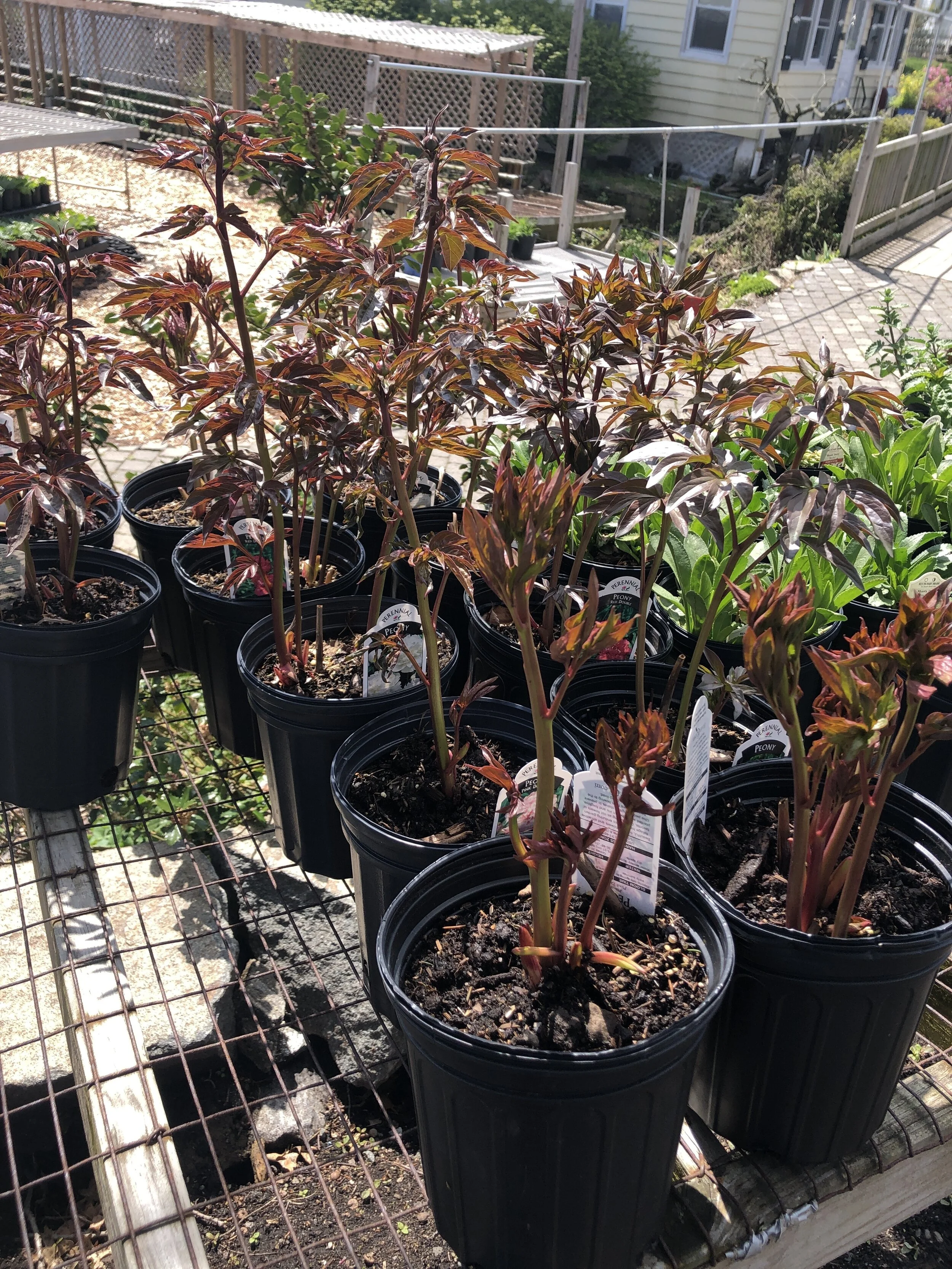 C5EEB936-3D7F-4567-9287-8BB76565E8DD