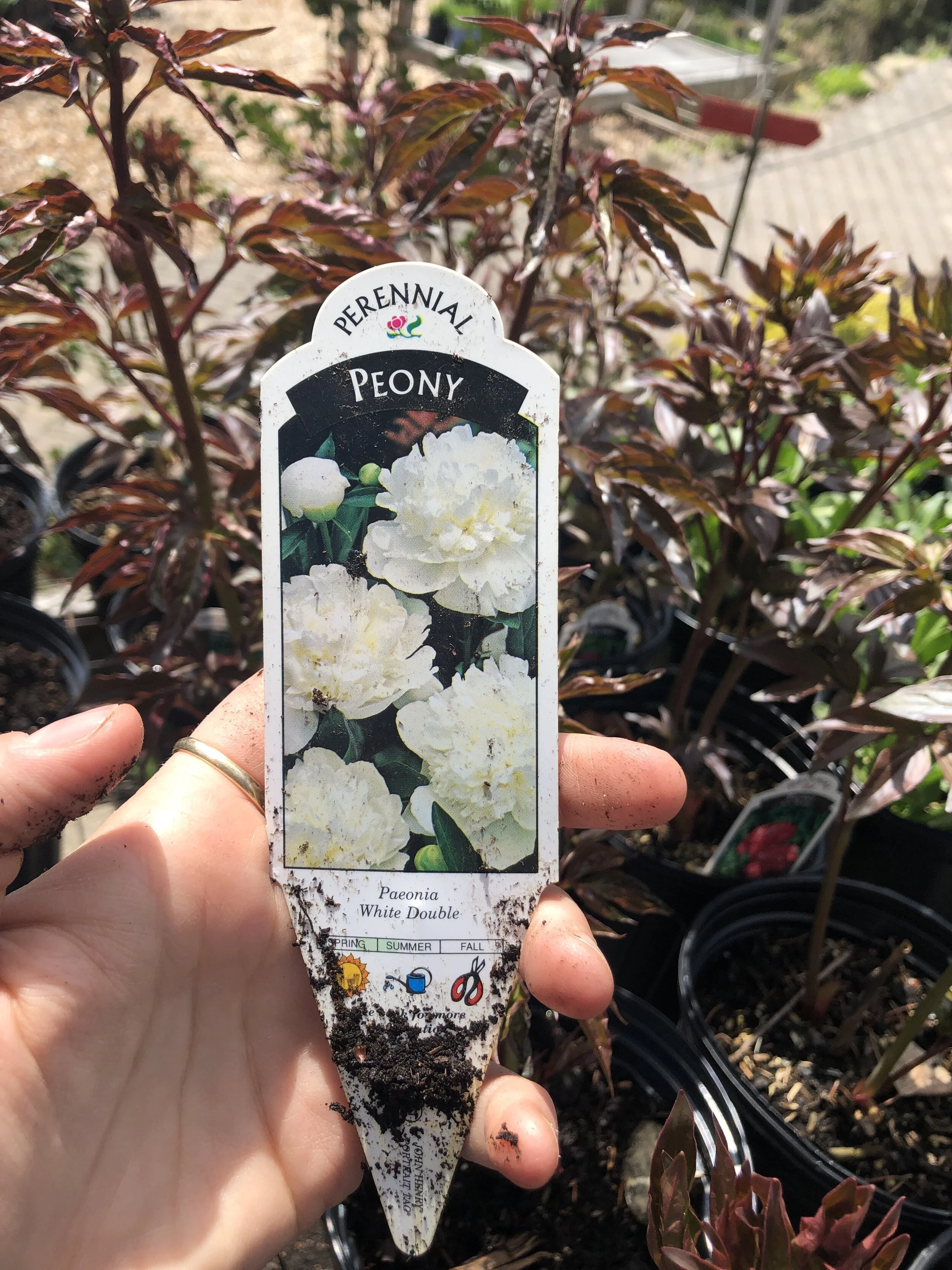 4523845C-A920-46CA-A764-7948CC80218E