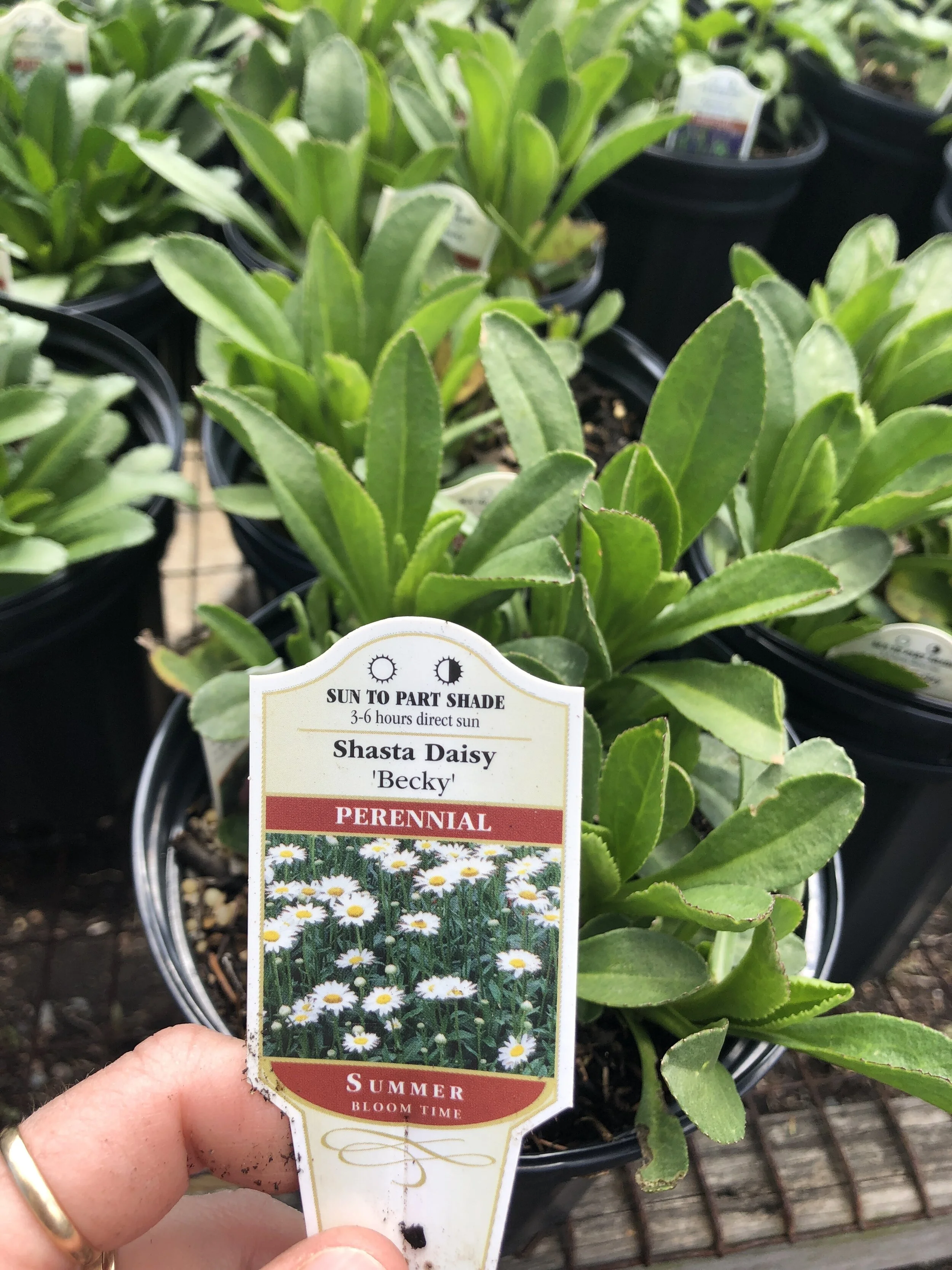 BE16CDD1-E97F-4883-8A54-A2B66C21B4CC