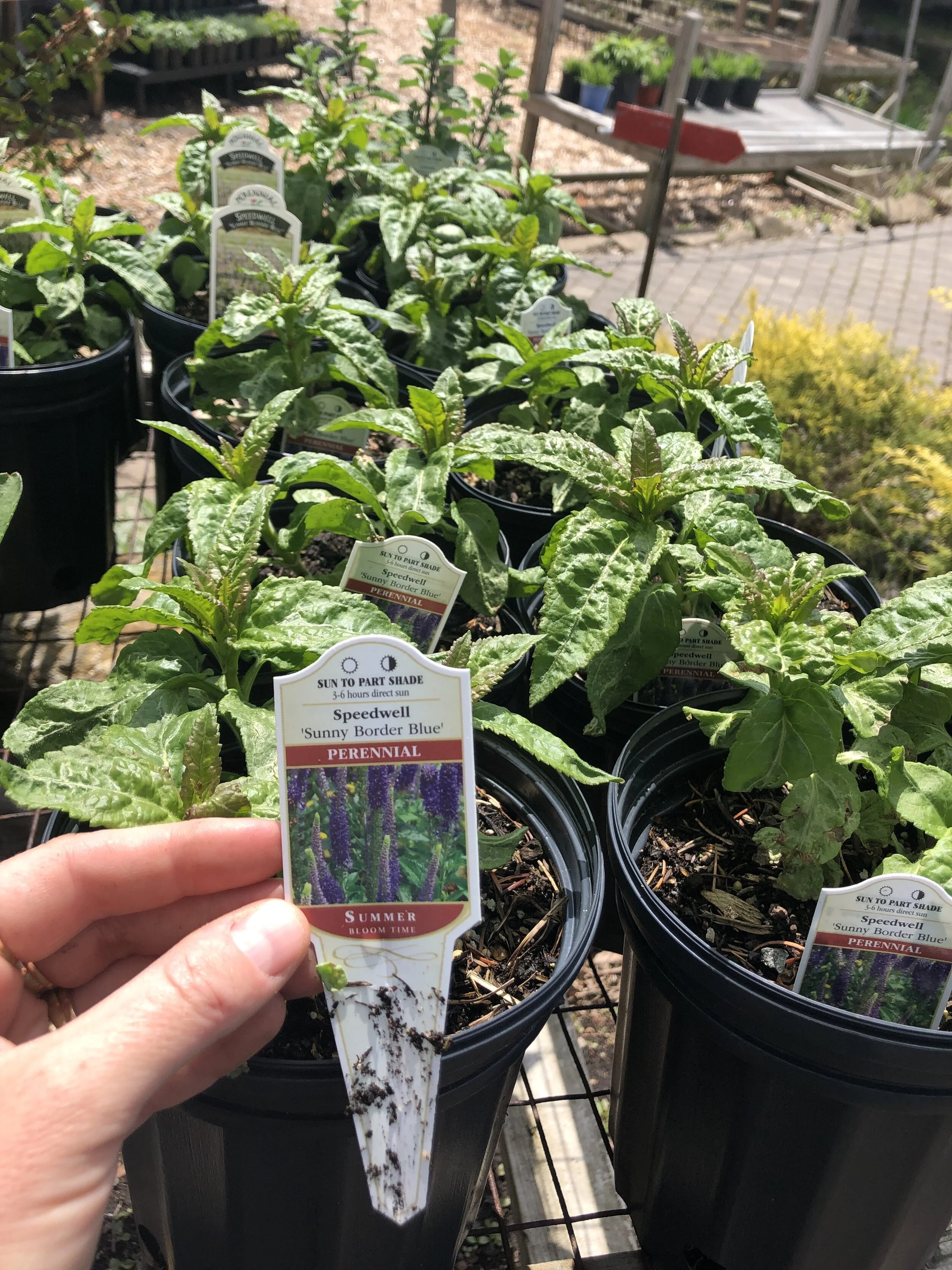 7D6396D4-BA6B-4636-B6BB-C93CE021BA47