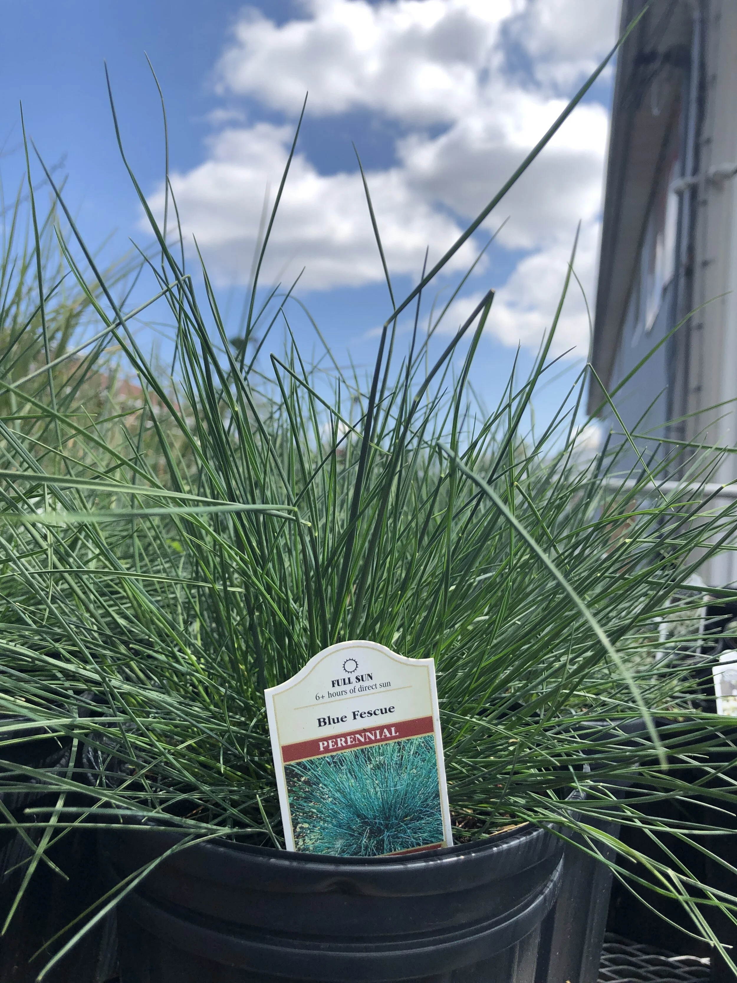 57F8CBD9-77A2-4C20-BA30-46A04714C0F2