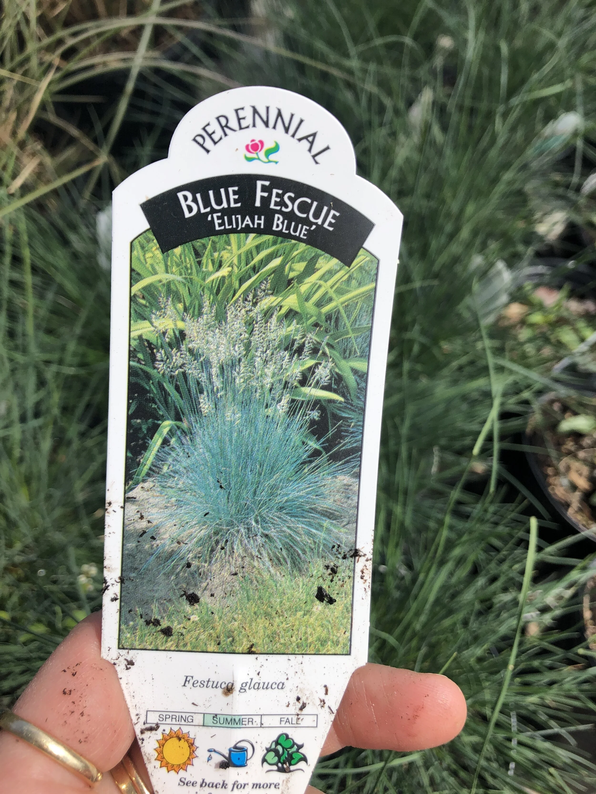 0AECE6E0-53D7-415E-975C-D66EF87FA040