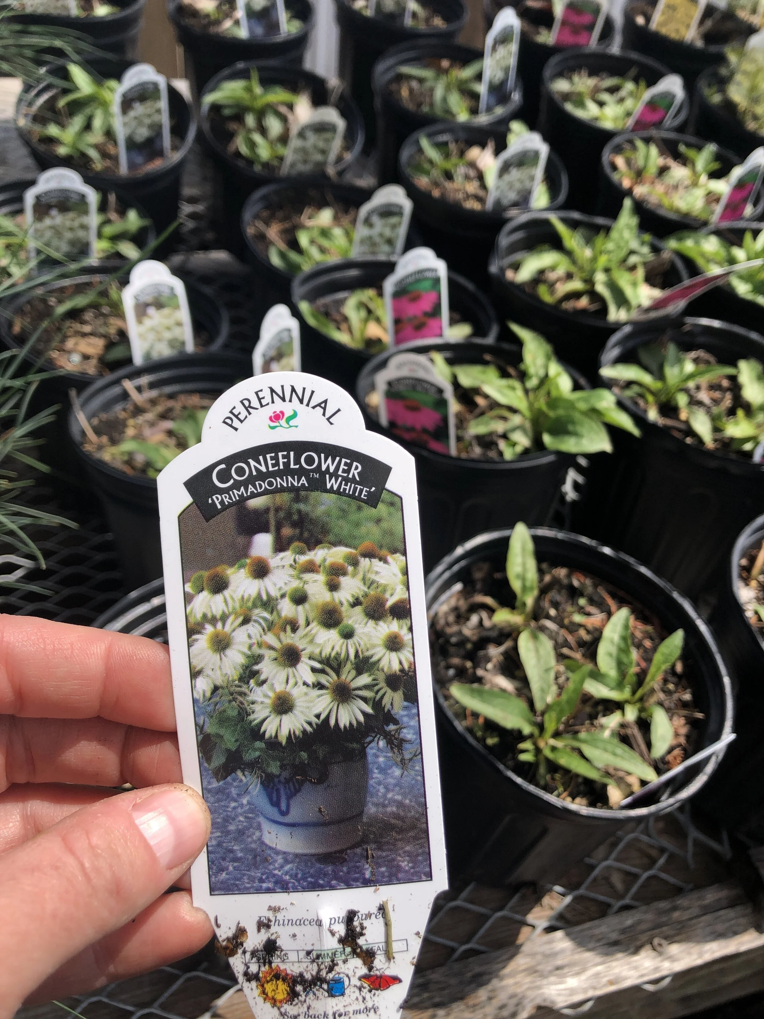 112F9B8A-6316-4DEC-82D9-16A6BC0786C1