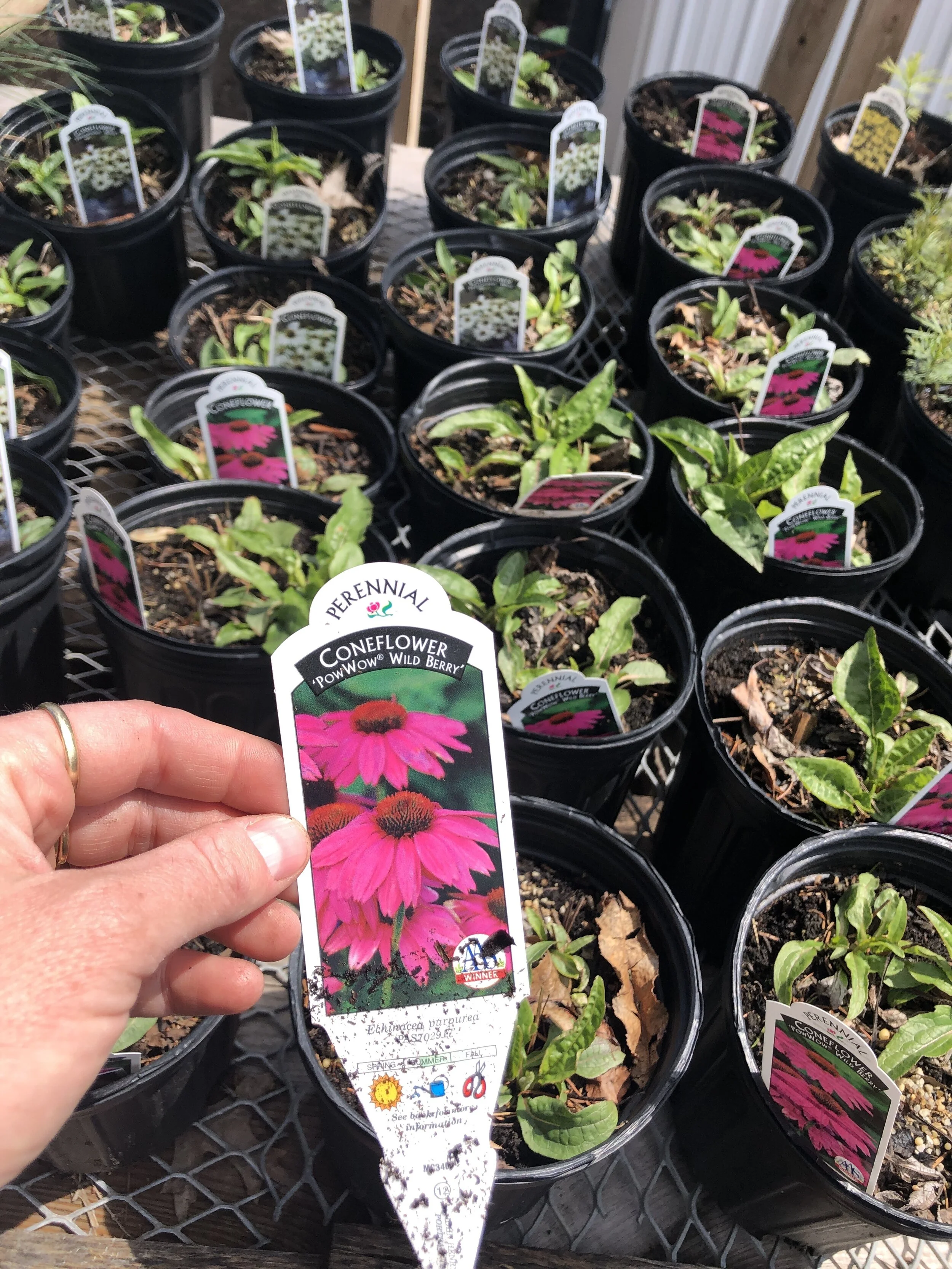 420D8276-ED2D-4017-B71E-603031E71F51