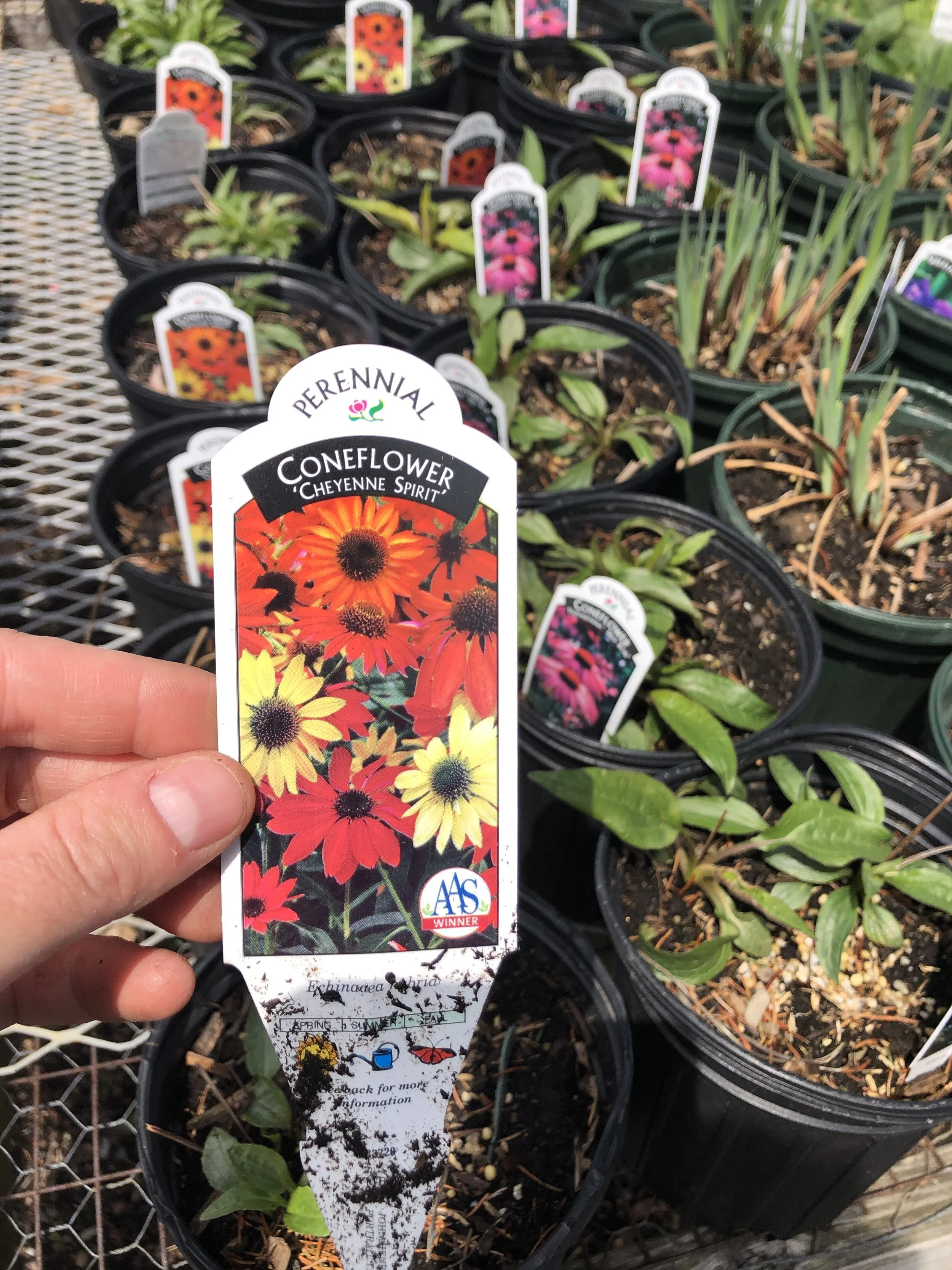 558F915D-F3D8-425F-9062-11C35A6BAACA