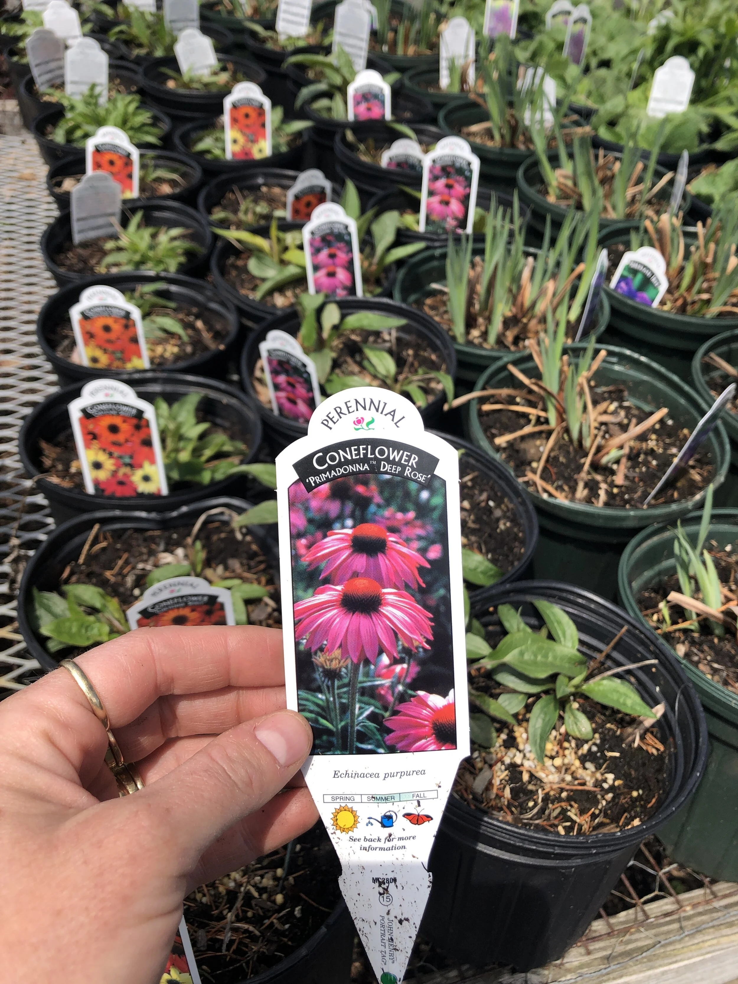 2CC5FCDF-1A85-4B83-8CC0-15B5D8FF4718