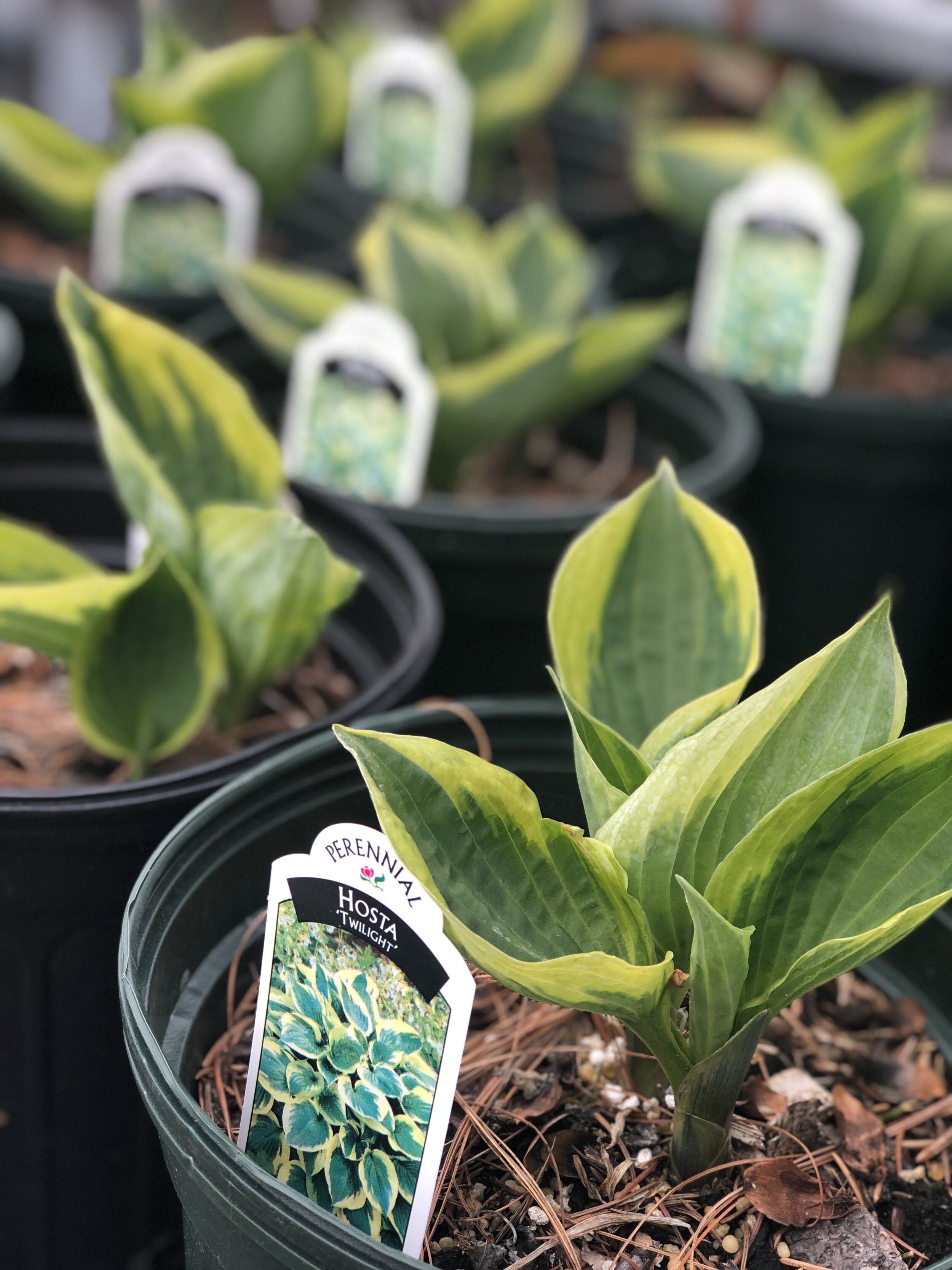 7A2AF01F-95EB-4BDE-BD0F-D1F8F064DD26