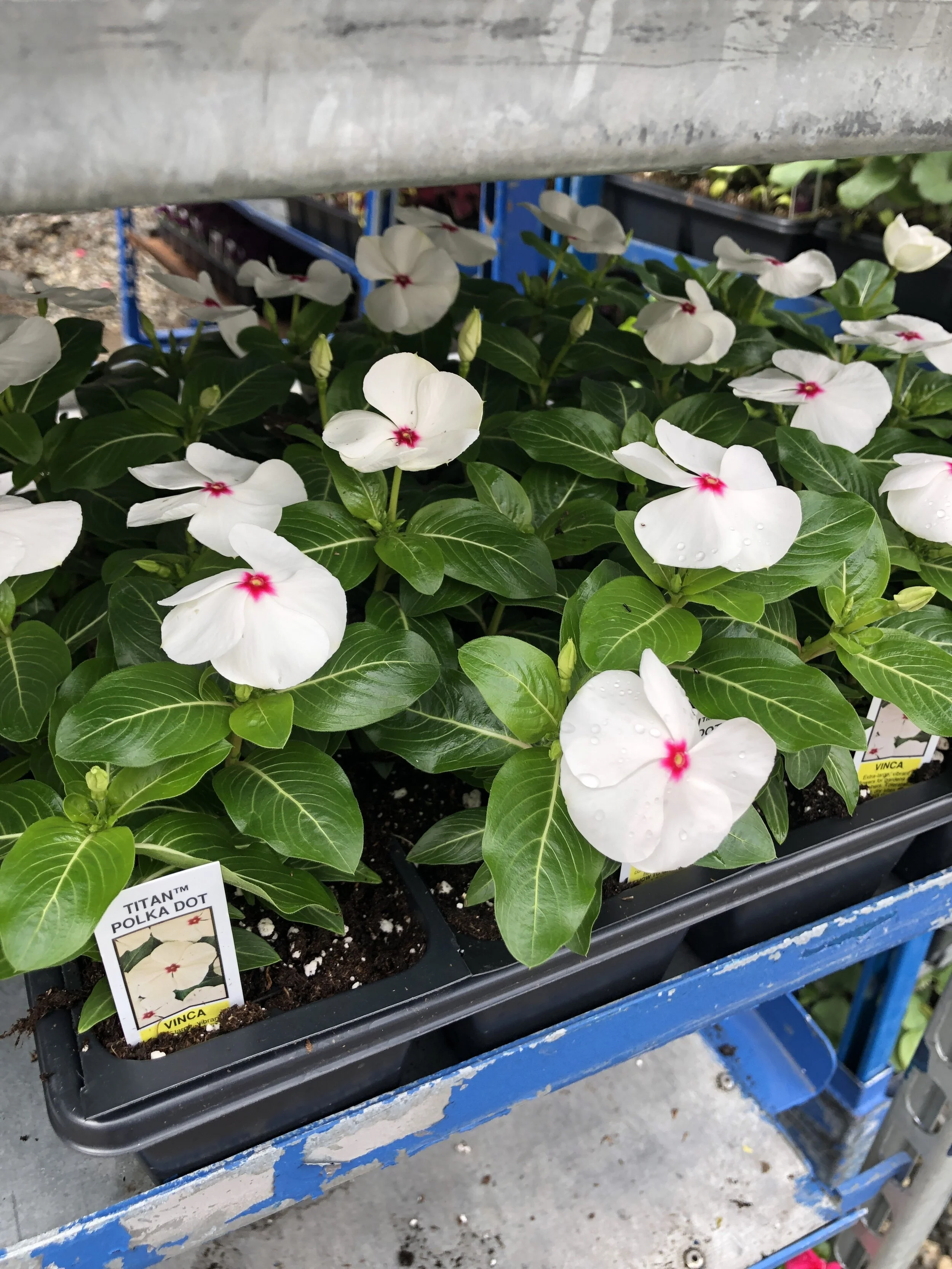 1F0570E7-F55D-4A8D-A103-19B3BD075FE1