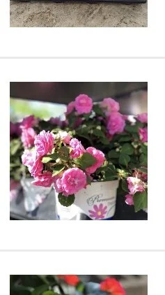 8A676371-C413-4303-84C0-4E09889CEA1F