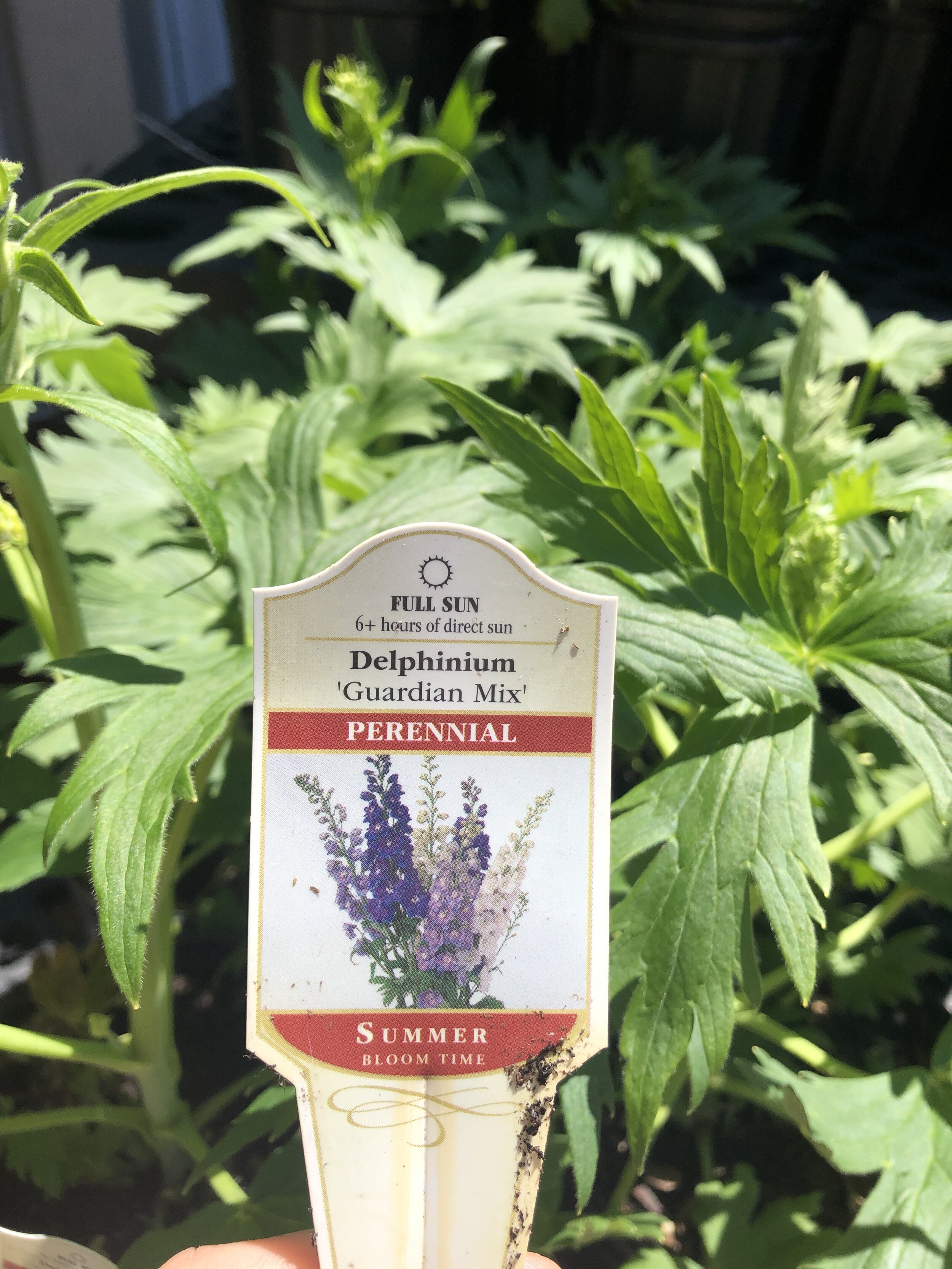 66A948E0-62E3-47CB-B7CE-1CFABD91098C