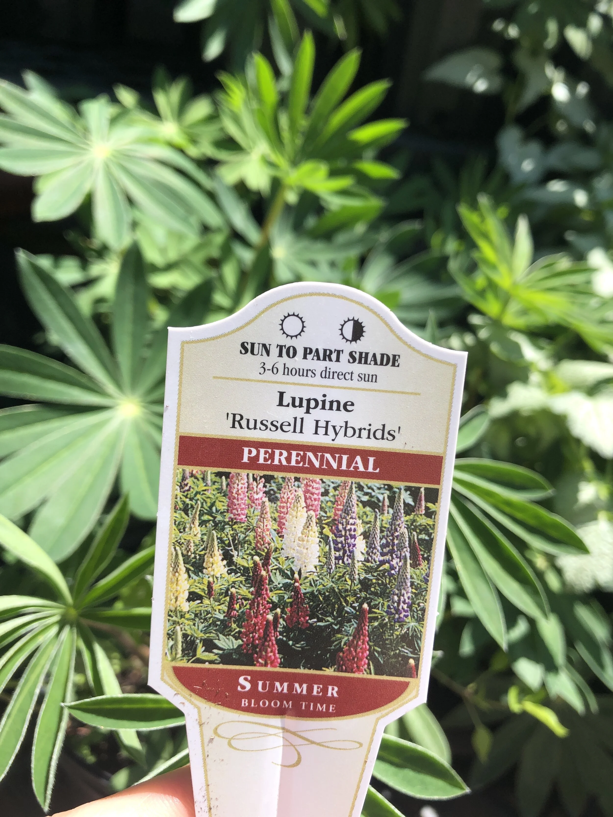 A83D6CC0-5516-44D7-A685-4A1D98F28F14