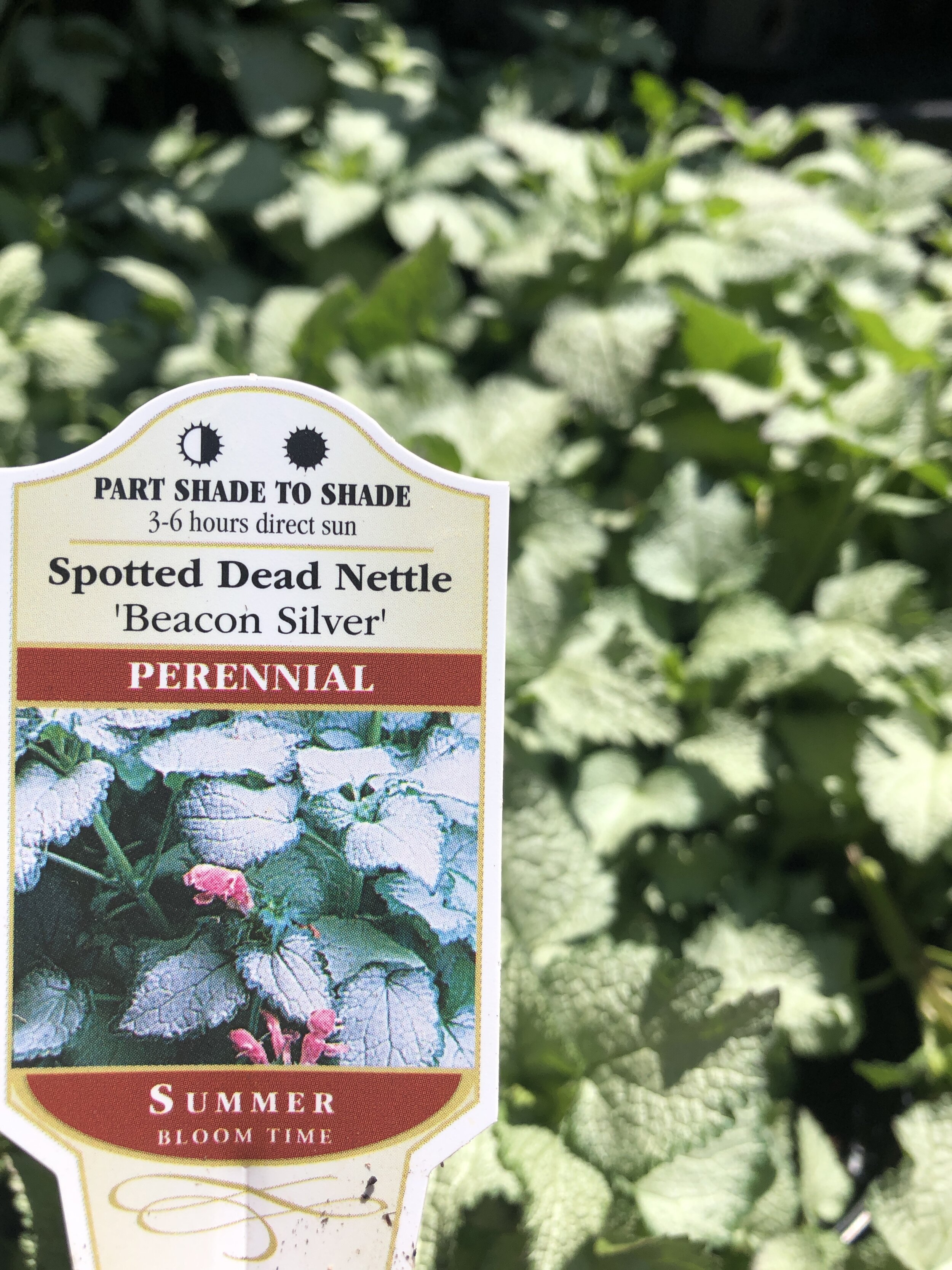 704260ED-DAB0-4647-BCEF-90A1122007CE