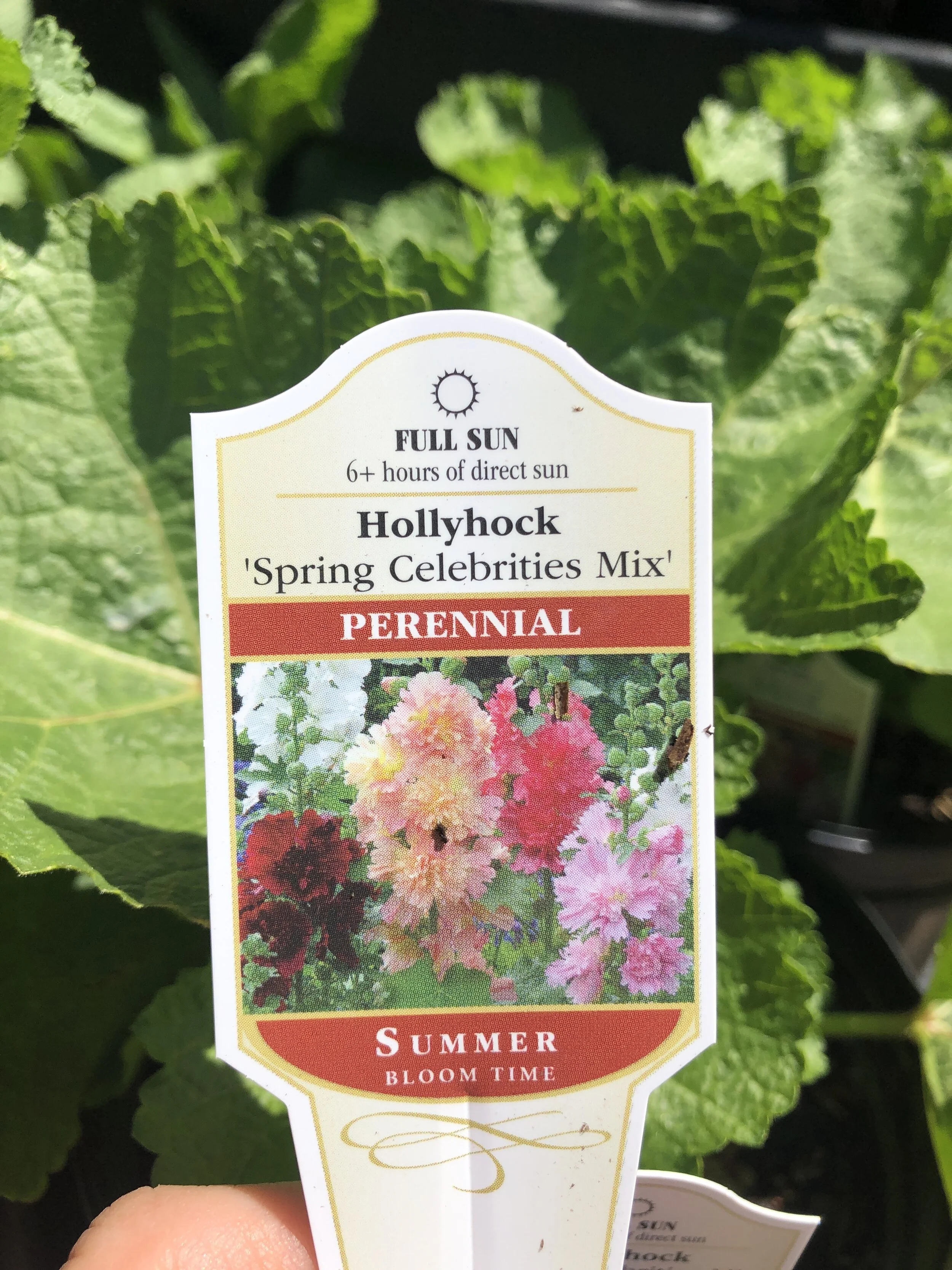 F4F4CEC3-1781-46F1-B628-36A521FF0C16