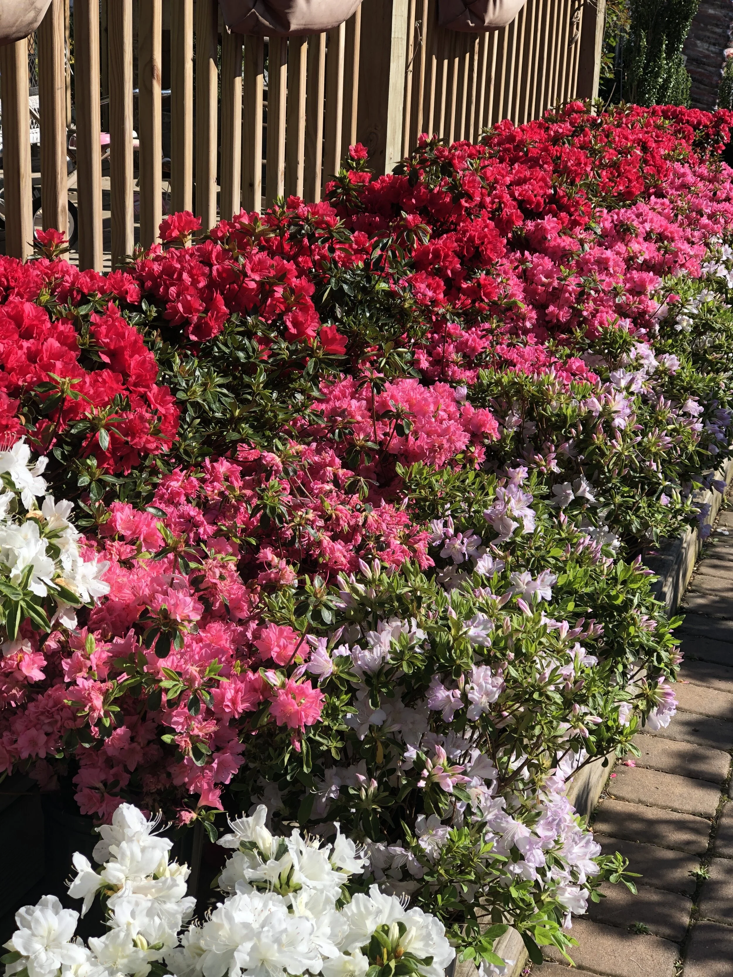 734251FB-BC2D-4246-8134-EA5A6673C063