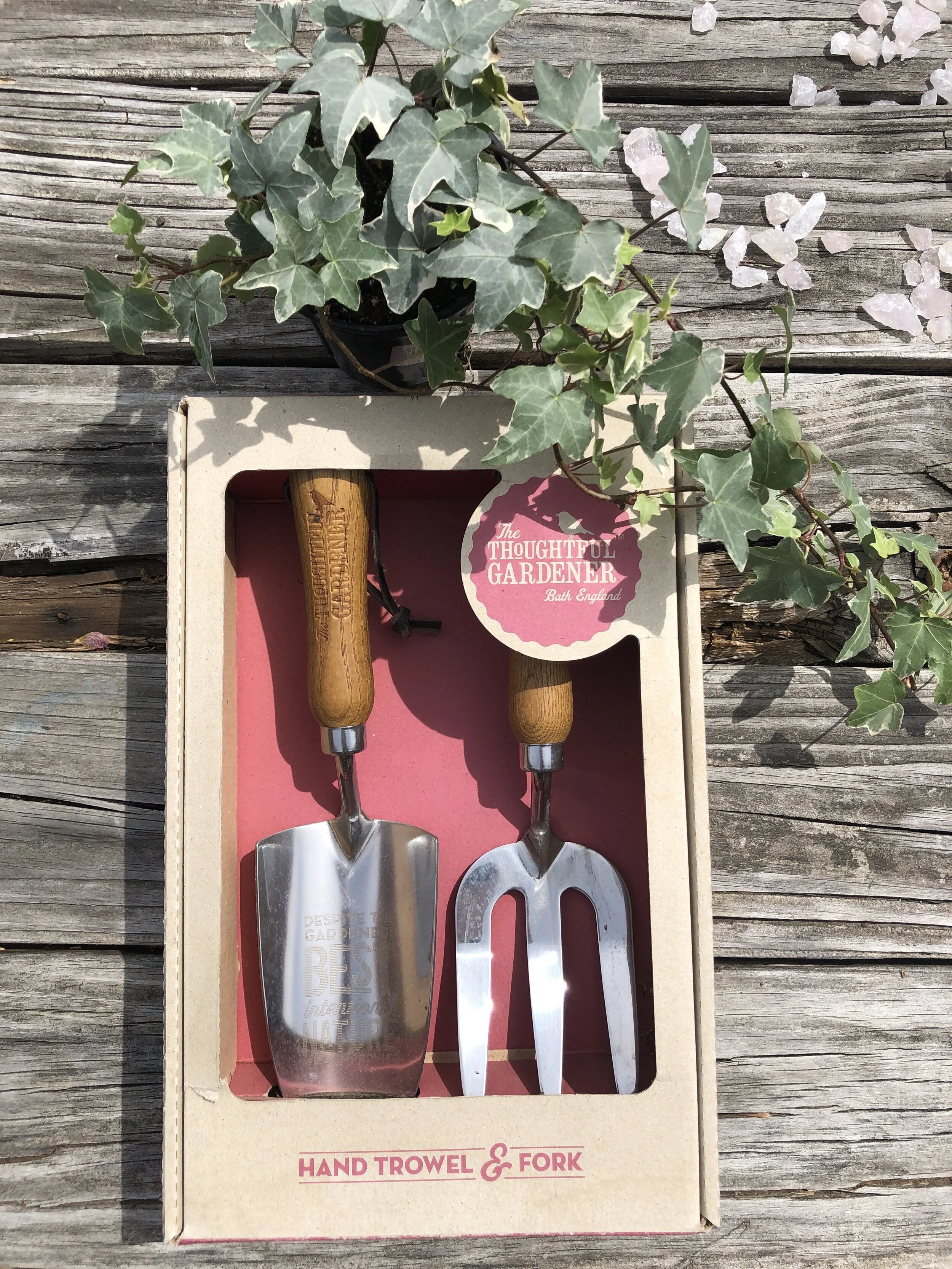 83BBB970-5358-4C15-98F4-0F4FD836EE0A