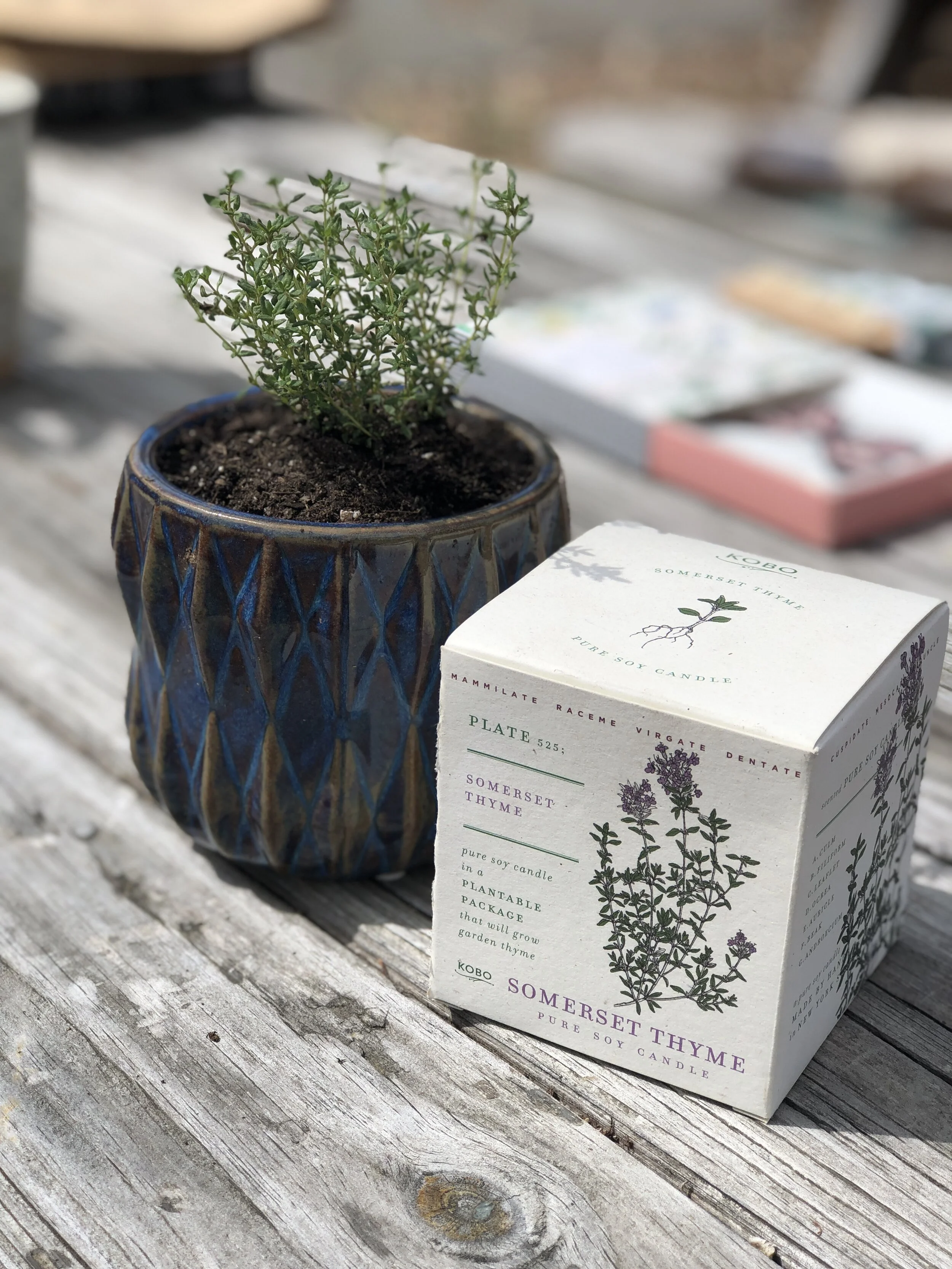 0C06B7B3-77B3-4A07-BC9E-924FF55EDFF0